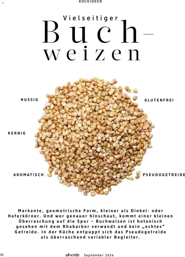 dm Magazin alverde von 1. September bis 30. September 2026 - Prospekt seite 46
