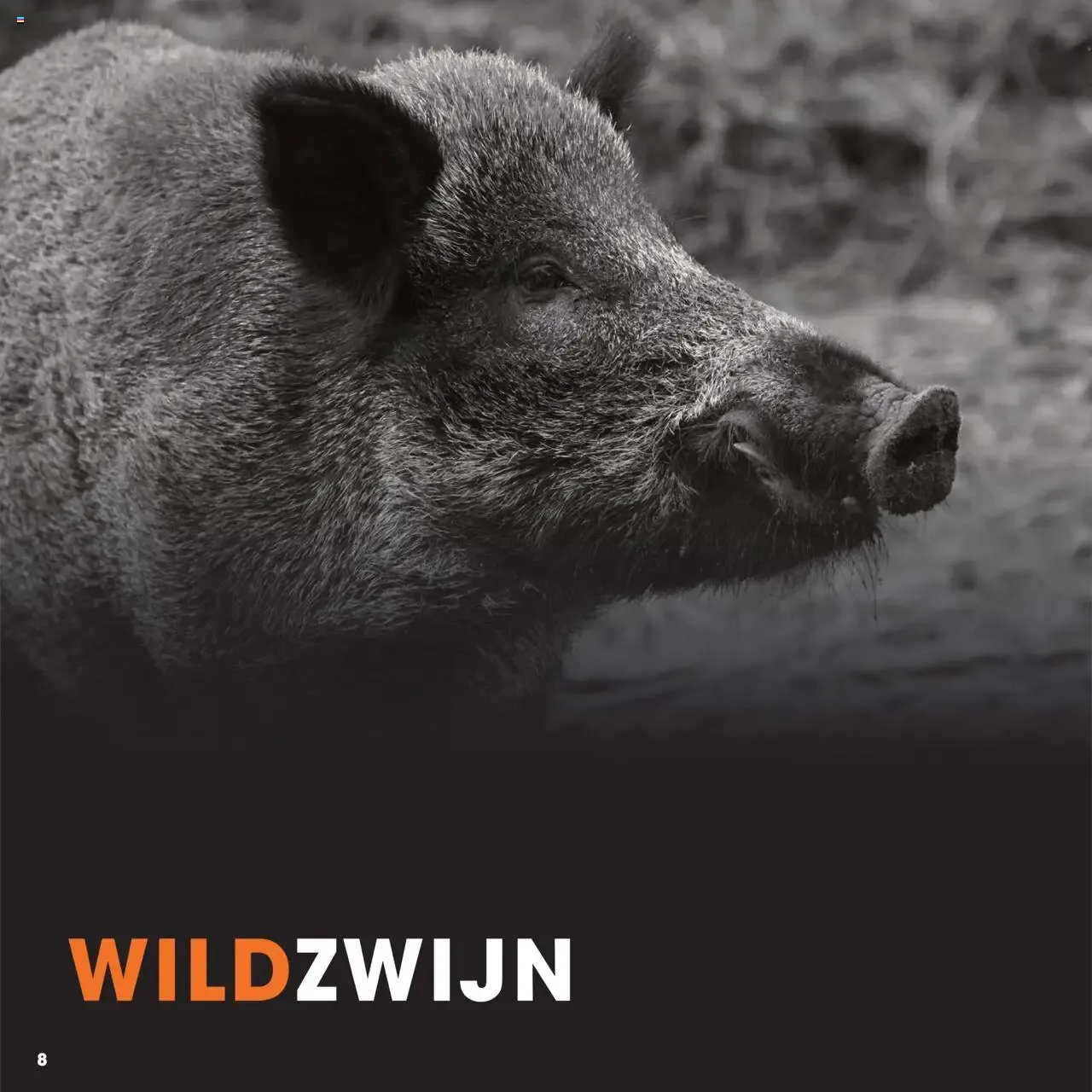 HANOS WILD VAN HET NAJAAR van 5 oktober tot 12 september 2026 - Folder pagina 8