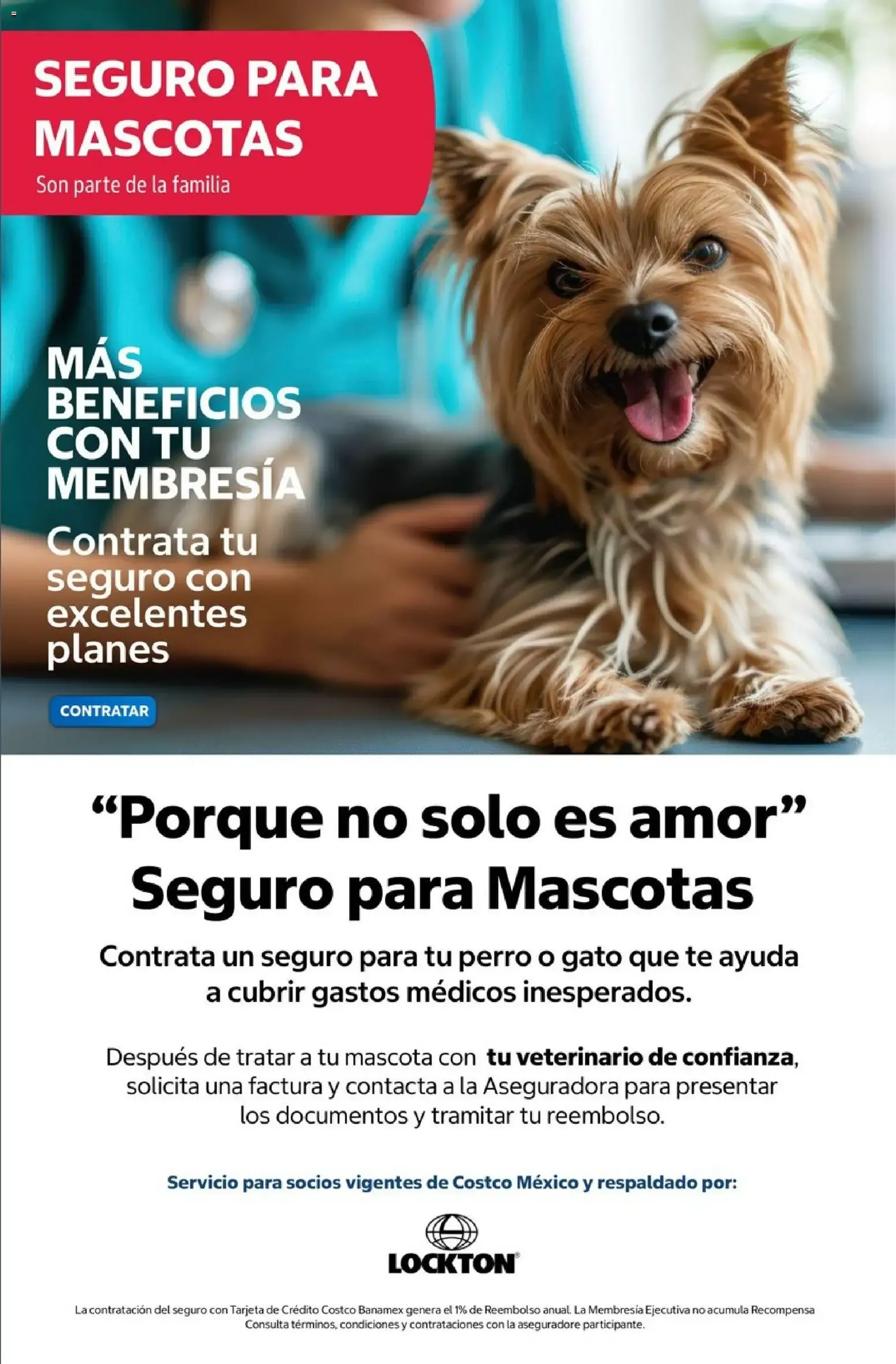 Catálogo de COSTCO Contacto 1 de agosto al 31 de agosto 2026 - Pagina 24