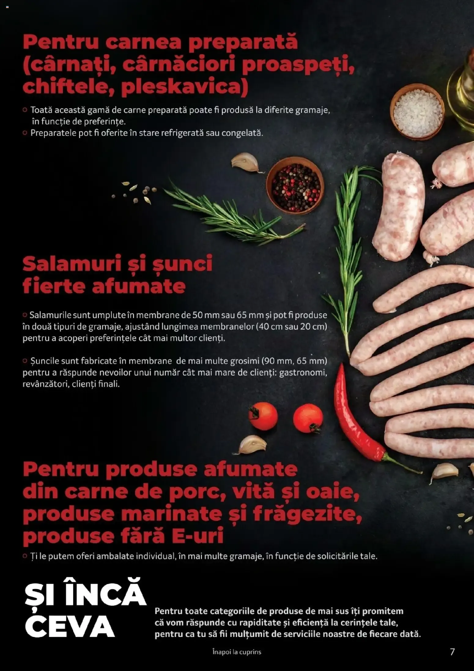 Catalog Selgros Catalog Carne de la 25 martie până la 31 martie 2027 - Revista Pagina 7