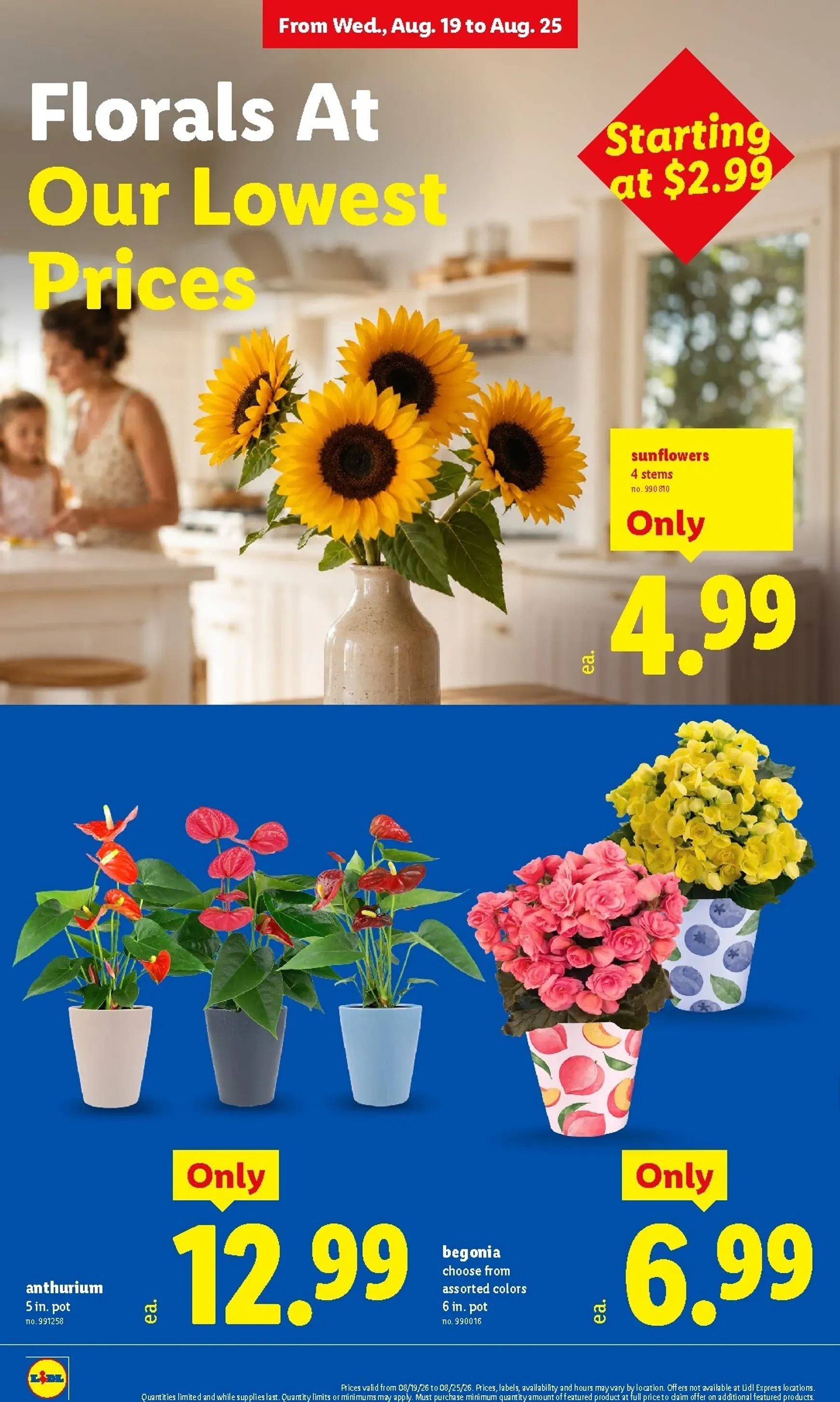 Weekly promotion Current Lidl leaflet valid from Wednesday 08/19/2026 to Tuesday 08/25/2026 spanning from August 19 to August 25 2026 - Page 8 for Catalogue 365