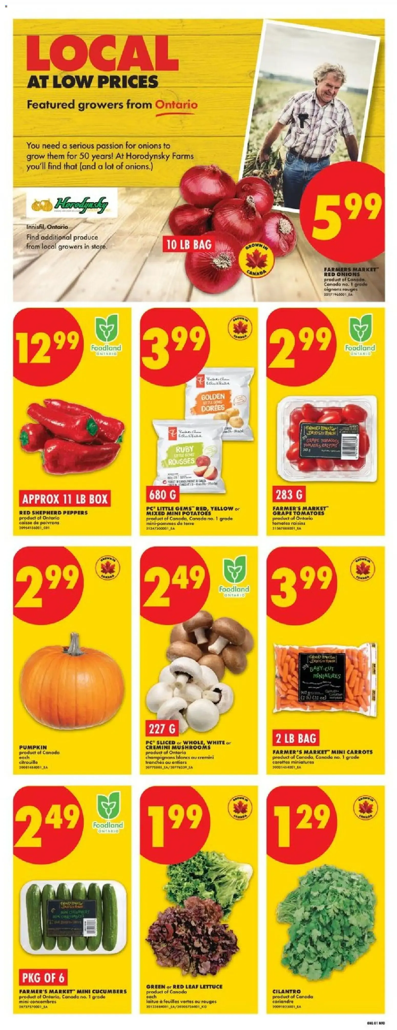 No Frills weekly flyer - ON from Sep 17, 2026 > weekly specials & deals from September 17 to September 23 2026 - flyer page 3