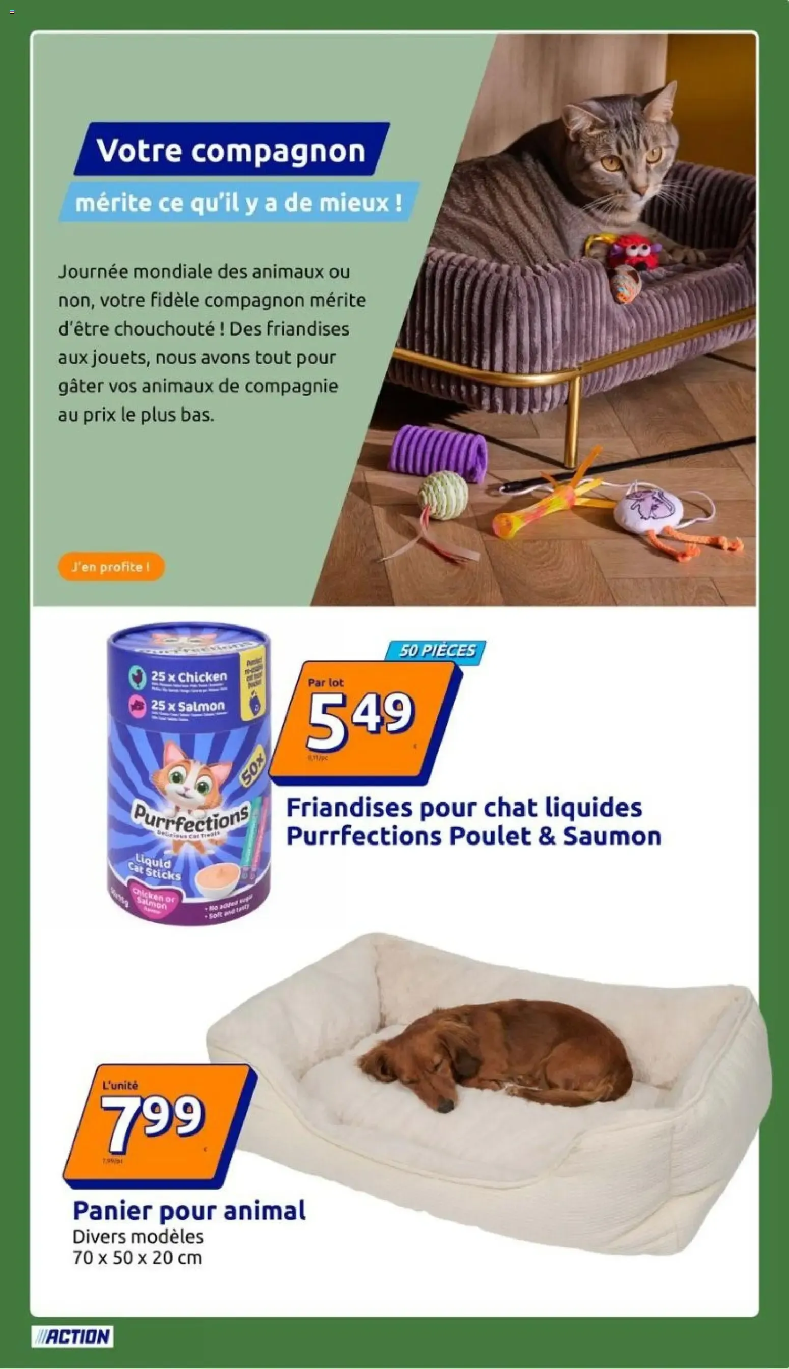 La Semaine d'Action du 30 septembre au 6 octobre 2026 - Catalogue page 37