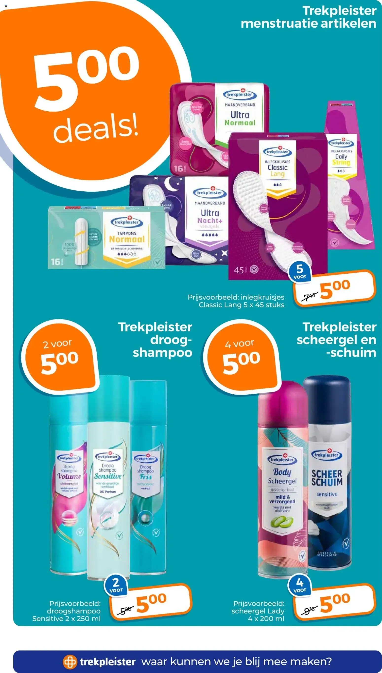 Trekpleister Blijmakers van 1 september tot 13 september 2026 - Folder pagina 17