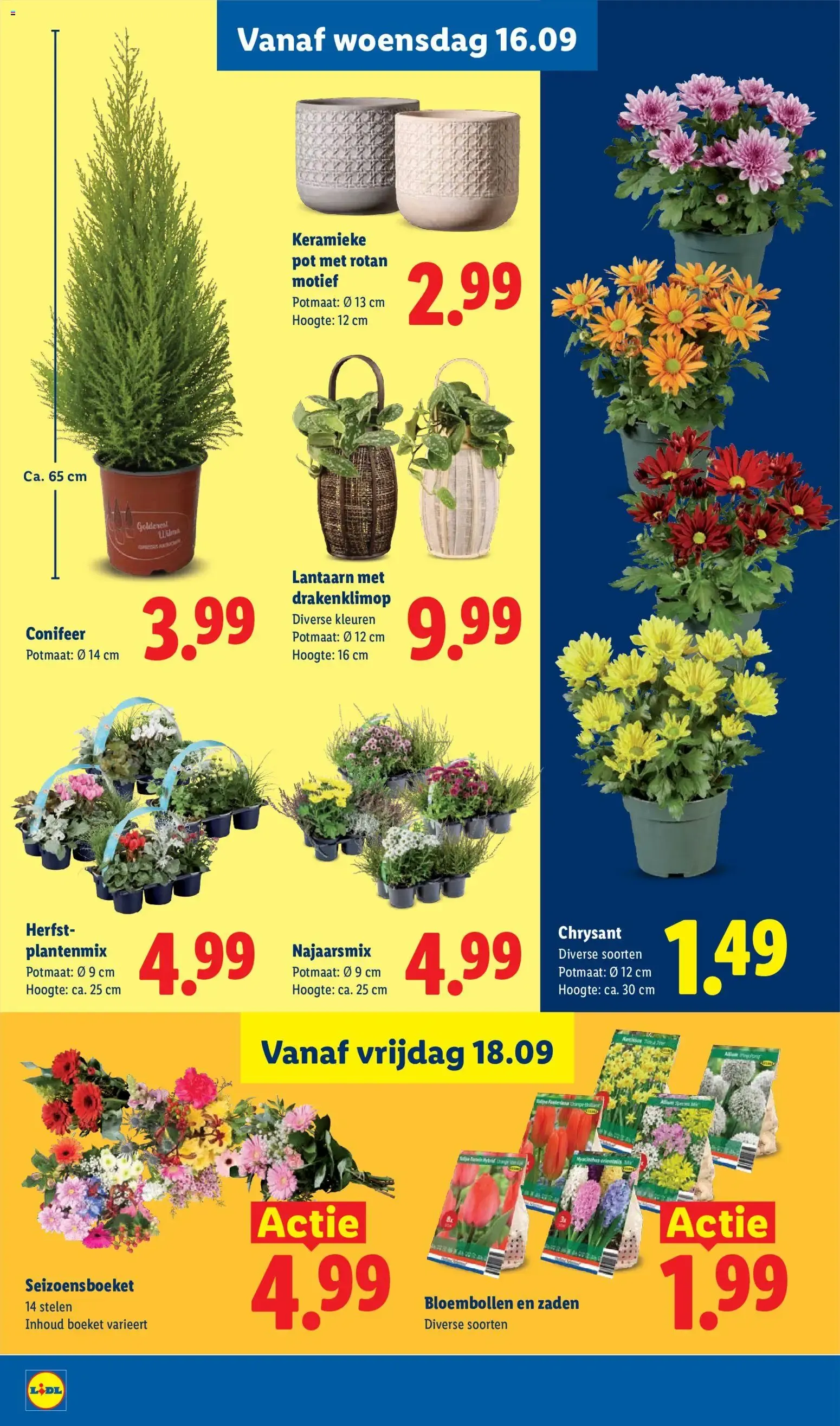 Lidl Actie Folder van 14 september tot 20 september 2026 - Folder pagina 17