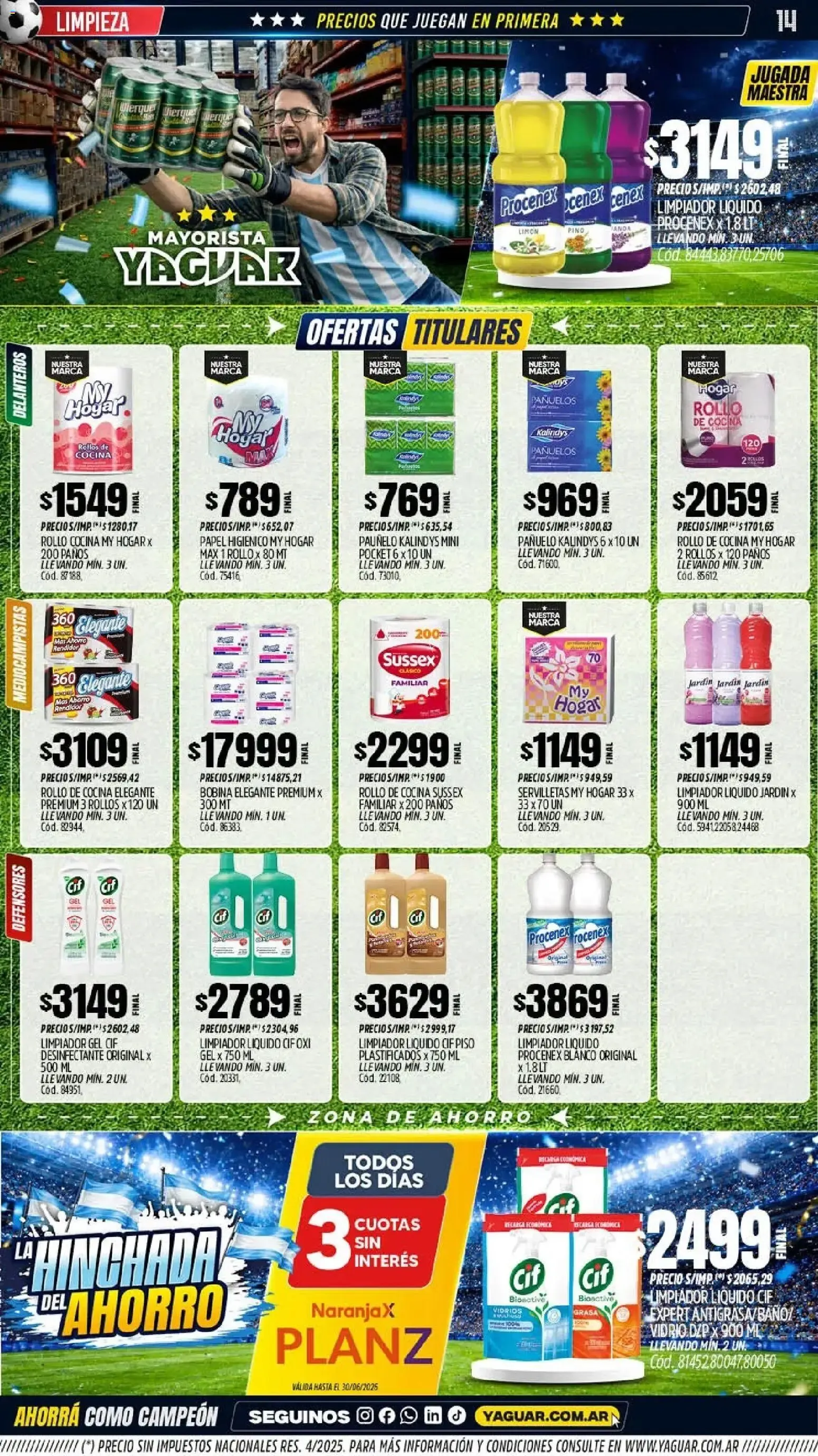 Ofertas de Mayorista Yaguar - La Hinchada del Ahorro 15 de junio al 20 de junio 2026 - Página 13 del catálogo