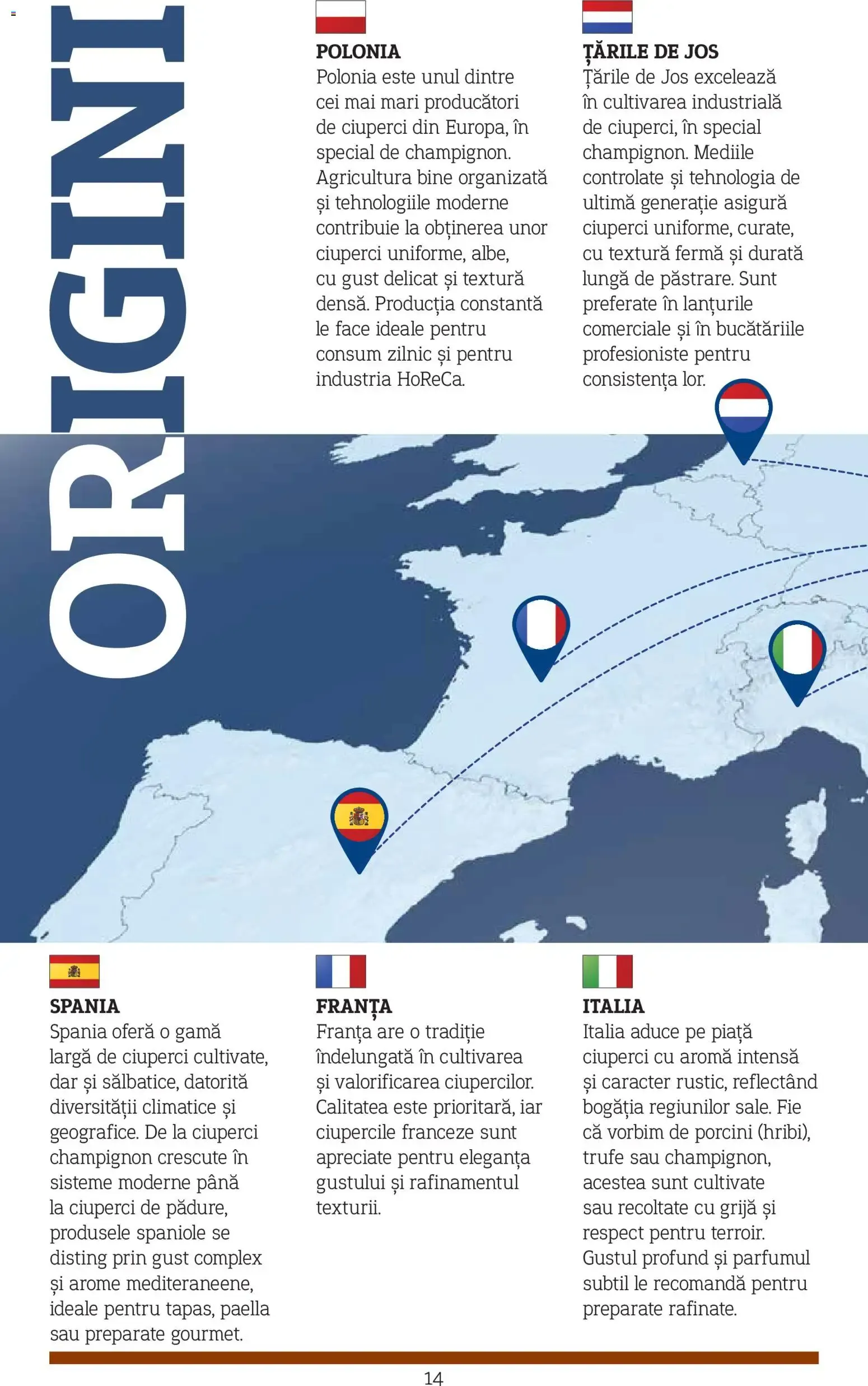 Catalog Metro catalog - Varietăți de Ciuperci - Oferta 10.11.2025 - 31.12.2026 de la 10 noiembrie până la 31 decembrie 2026 - Revista Pagina 14
