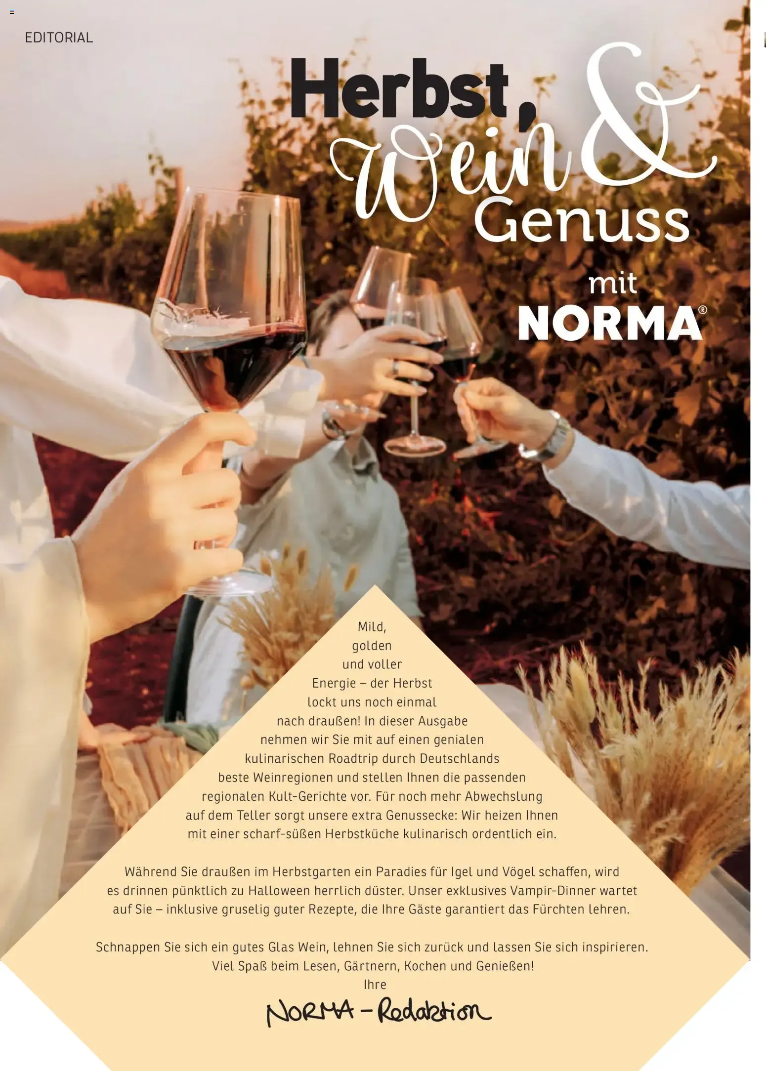 Norma NORMAgazin September/Oktober 2026 (ab 01.09.2026) zum blättern » Angebote von 1. September bis 31. Oktober 2026 - Prospekt seite 2