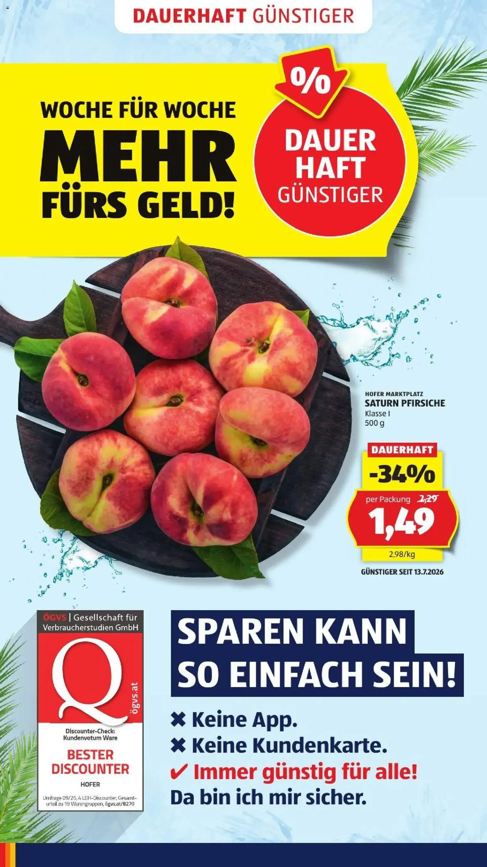 Hofer Flugblatt ab 28.08.2026 - Angebote, Aktionen von 28. August bis 3. September 2026 - Flugblätt seite  8