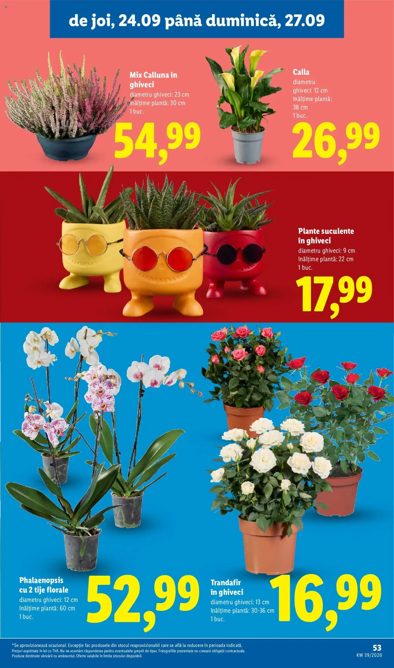 Catalog Catalog LIDL 21.09.2026 - Oferta și Revista online de la 21 septembrie până la 27 septembrie 2026 - Revista Pagina 53