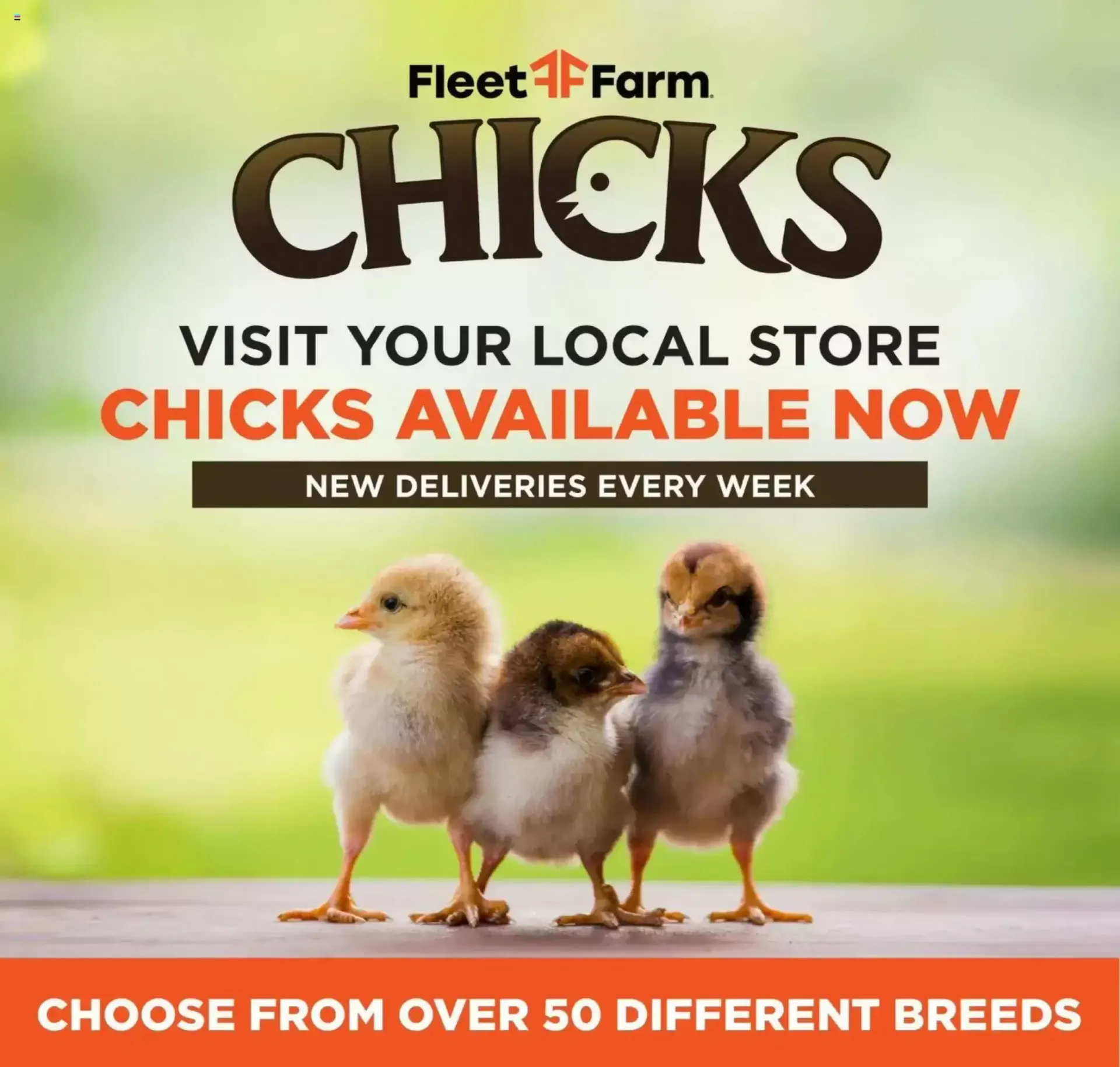 Weekly promotion Fleet Farm Weekly Ad spanning from August 17 to August 23 2026 - Page 7 for Catalogue 365