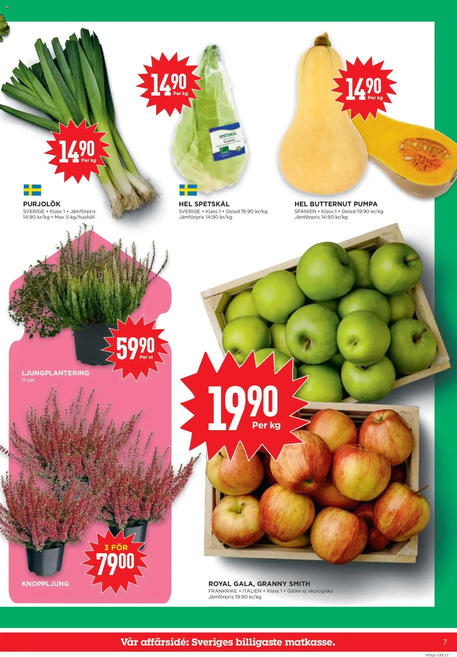 Willys erbjudanden från 21/09/2026 - 27/09/2026 > Reklamblad nuvarande rabatter från 21 september till 27 september 2026 - Reklamblad sidor 7