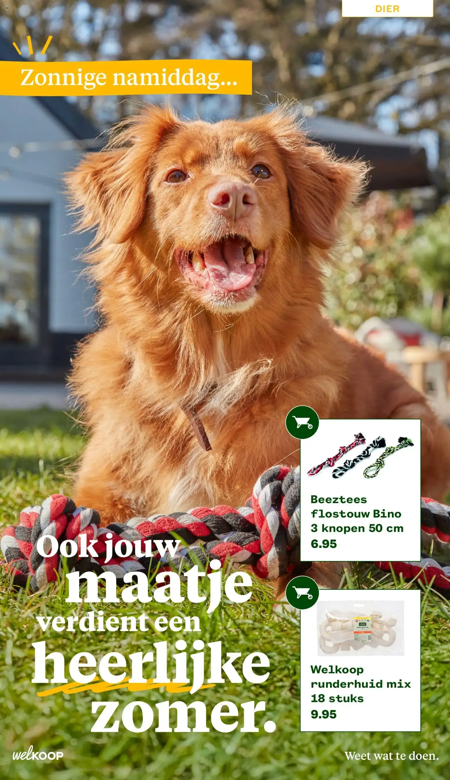 Welkoop Zomermagazine 2026 van 22 juni tot 23 augustus 2026 - Folder pagina 16