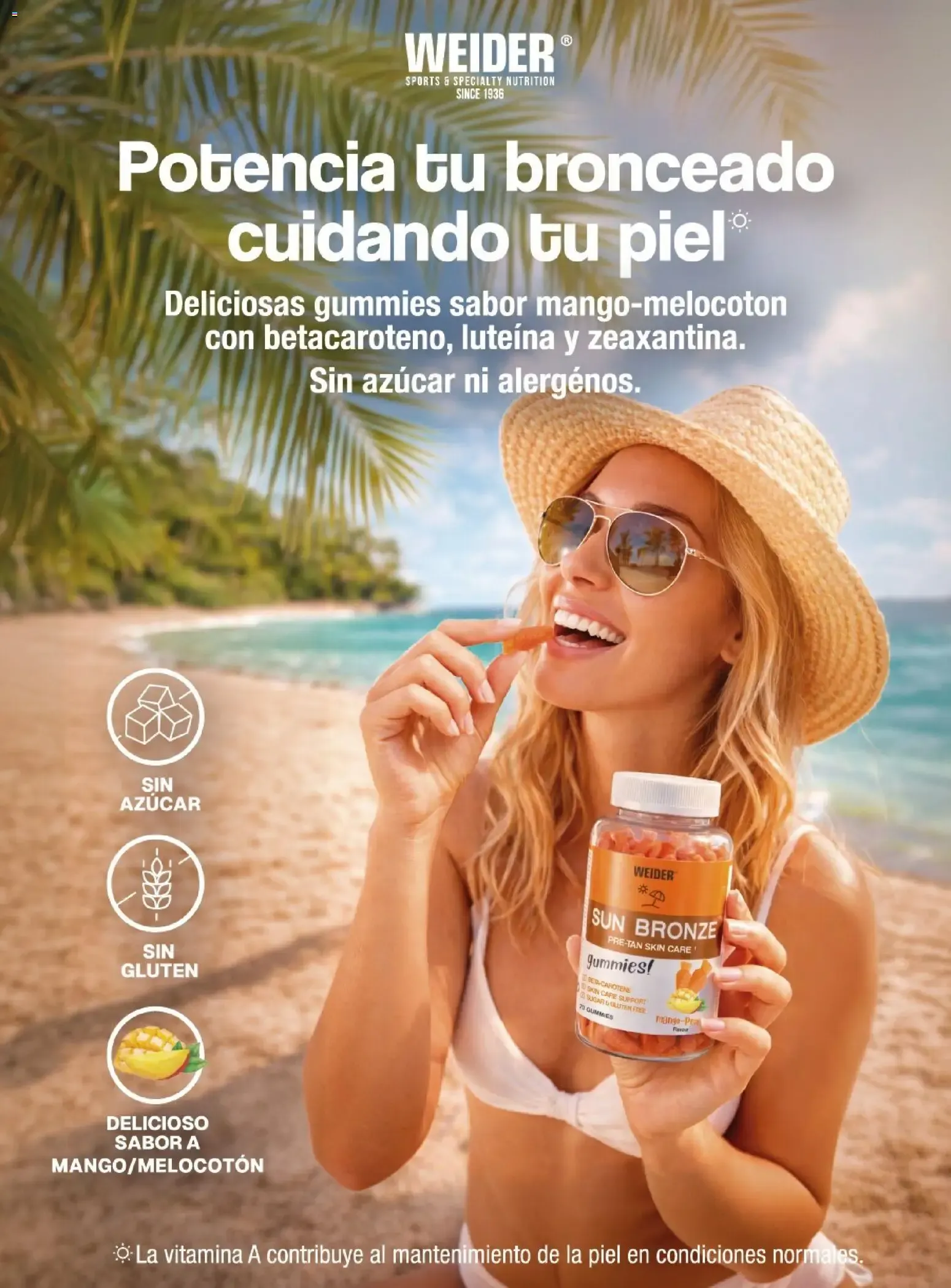 Catálogo de COSTCO Connection 15 de junio al 31 de octubre 2026 - Página 14