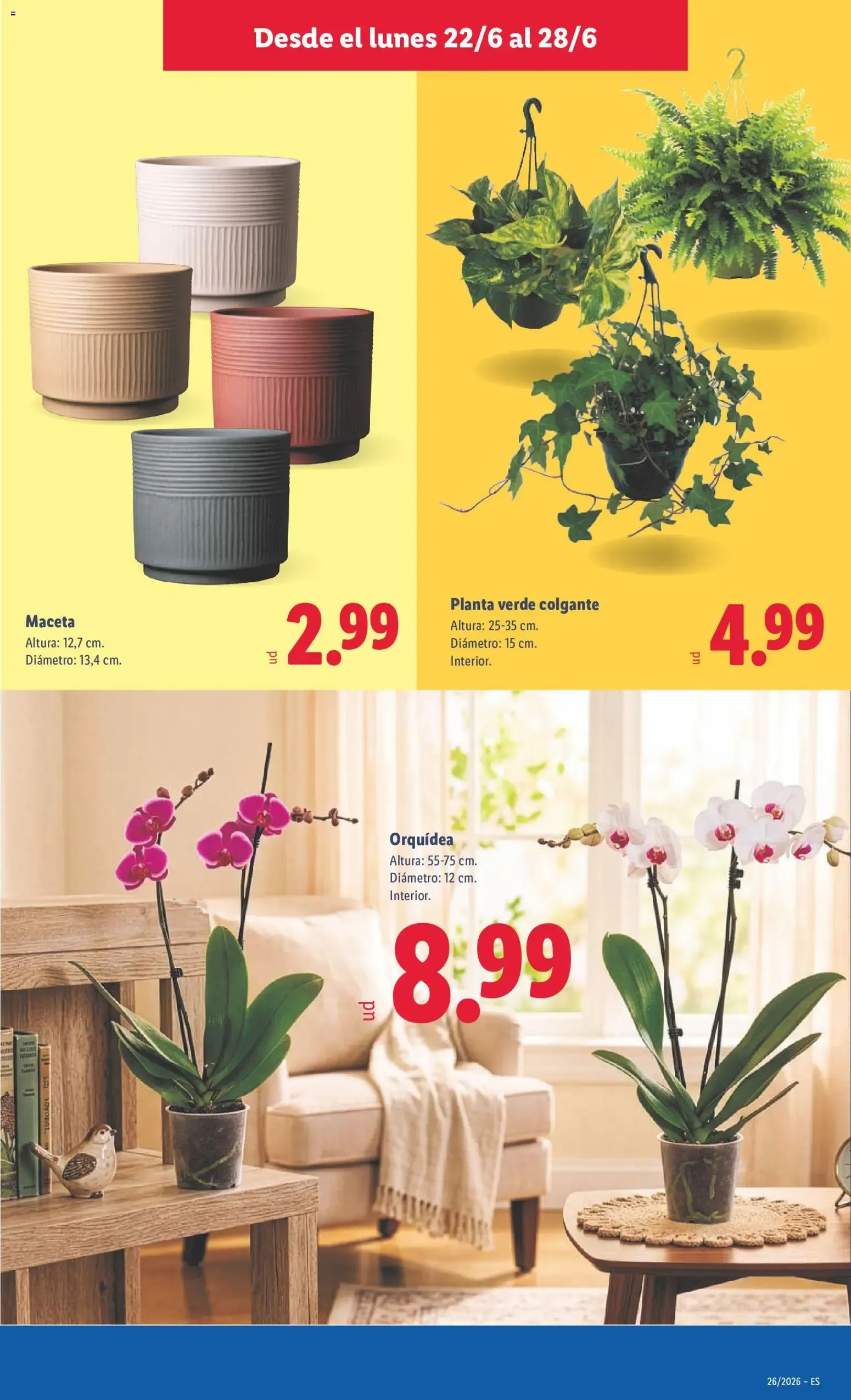 Catálogo de Lidl - Ahorra el doble 22 de junio al 28 de junio 2026 - Página 41