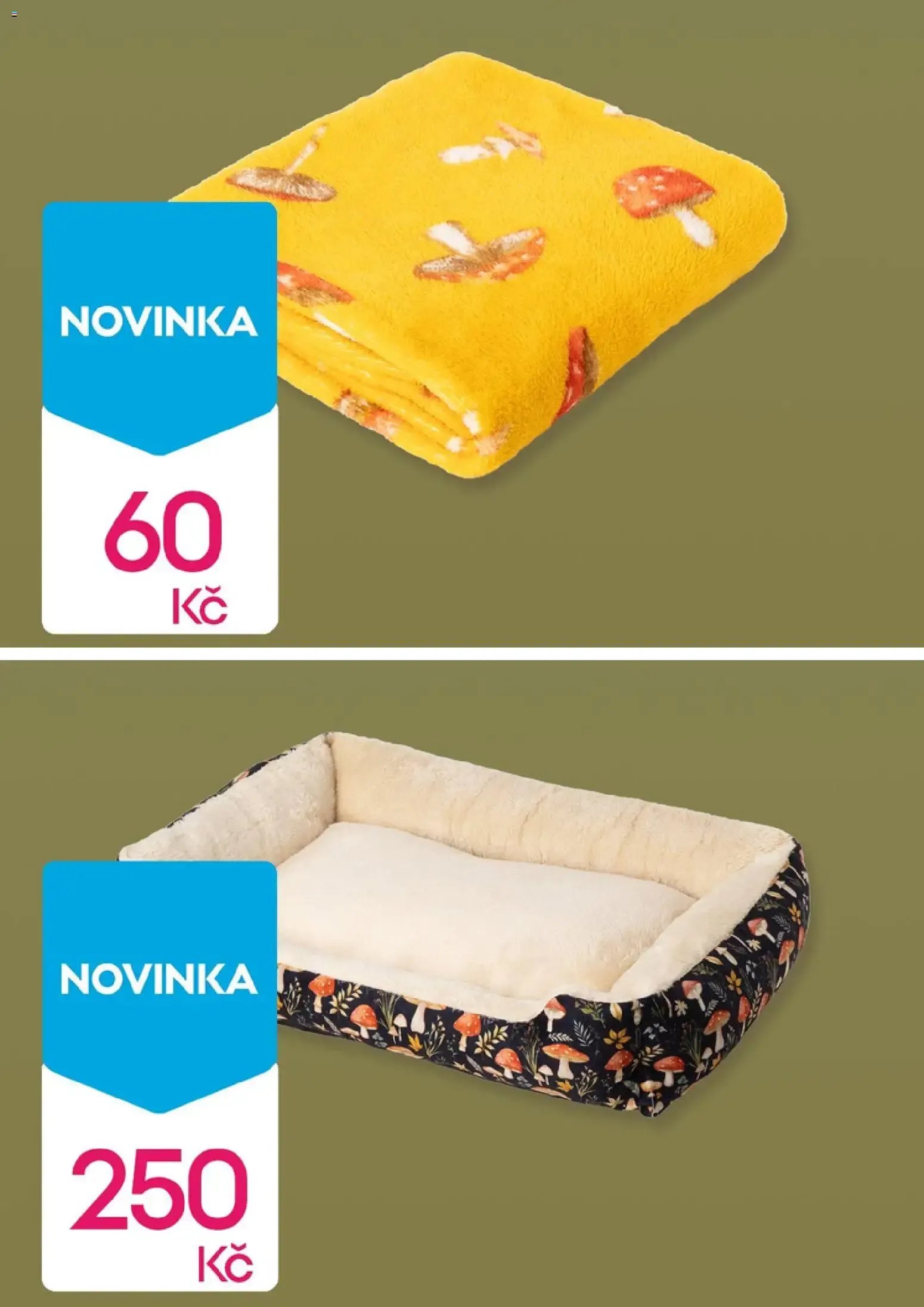 Pepco: Zpět do školy - Dětské oblečení - 13. srpna 19. srpna 2026 - Page 5