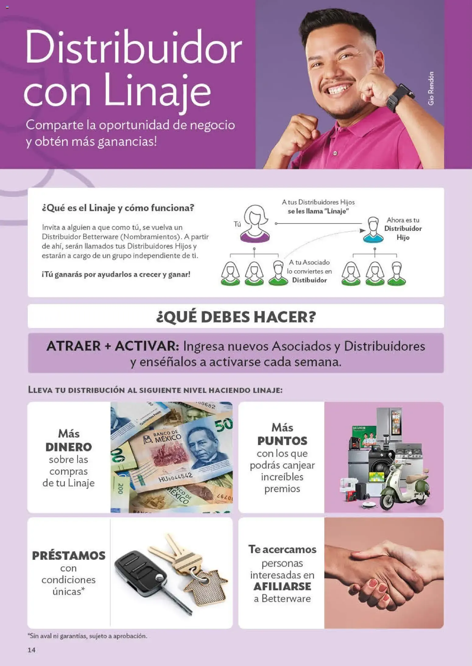 Catálogo de Programas de Oportunidades para ASOCIADOS Y DISTRIBUIDORES 29 de junio al 1 de enero 2027 - Pagina 14