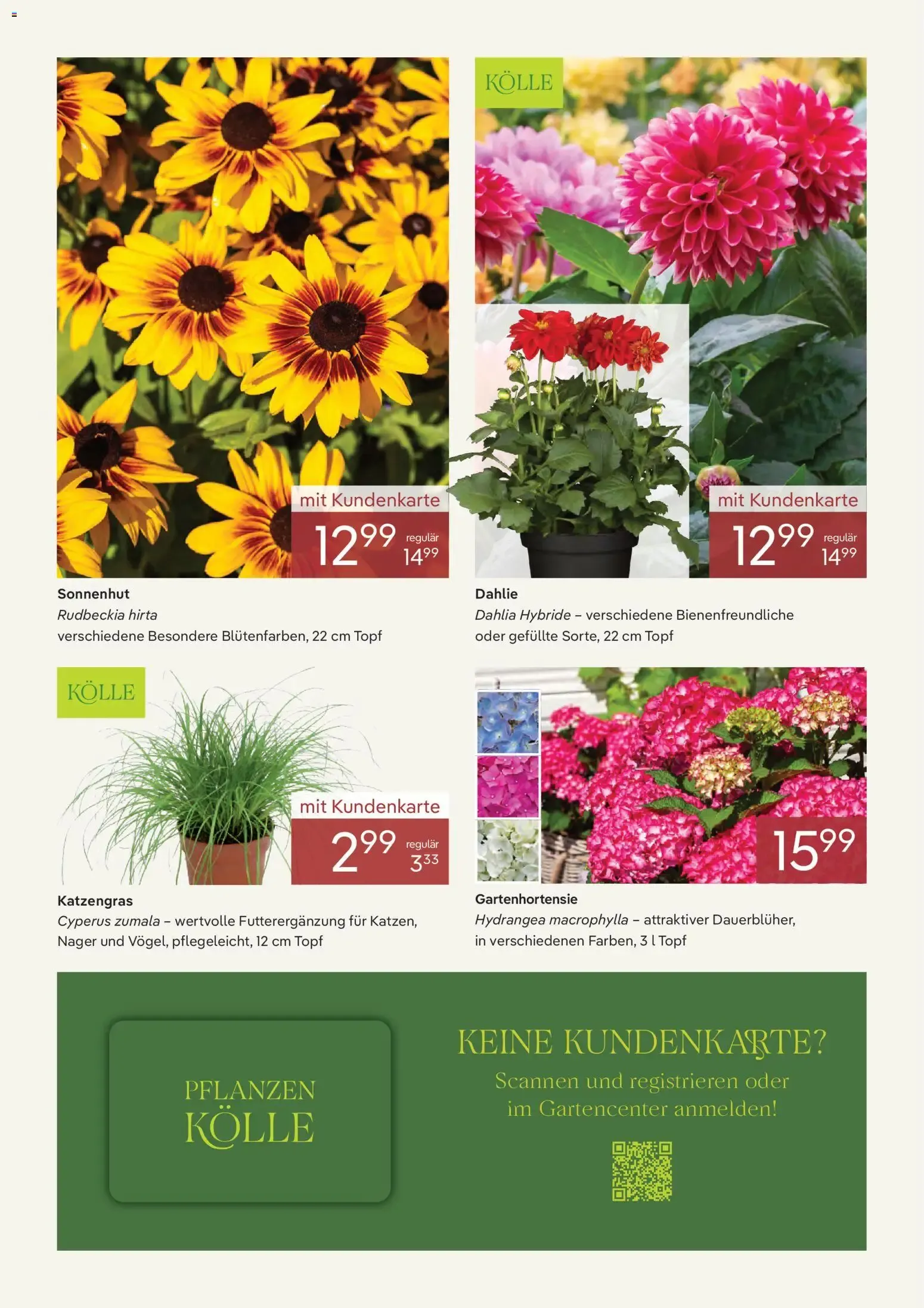 Pflanzen-Kölle Onlineflyer Juli (ab 01.07.2026) zum Blättern von 1. Juli bis 31. Juli 2026 - Prospekt seite 2