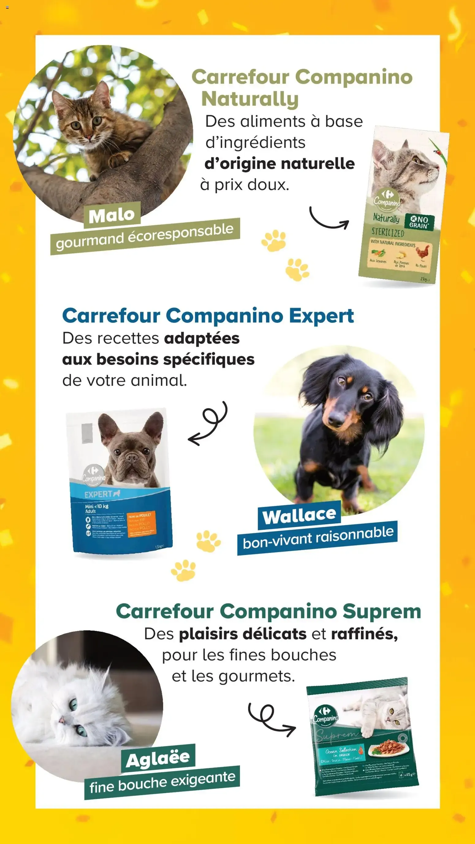 Carrefour Market Découvrez la marque carrefour companino à partir du 04/08/2026 - promo en ligne du 4 août au 7 septembre 2026 - Catalogue page 9