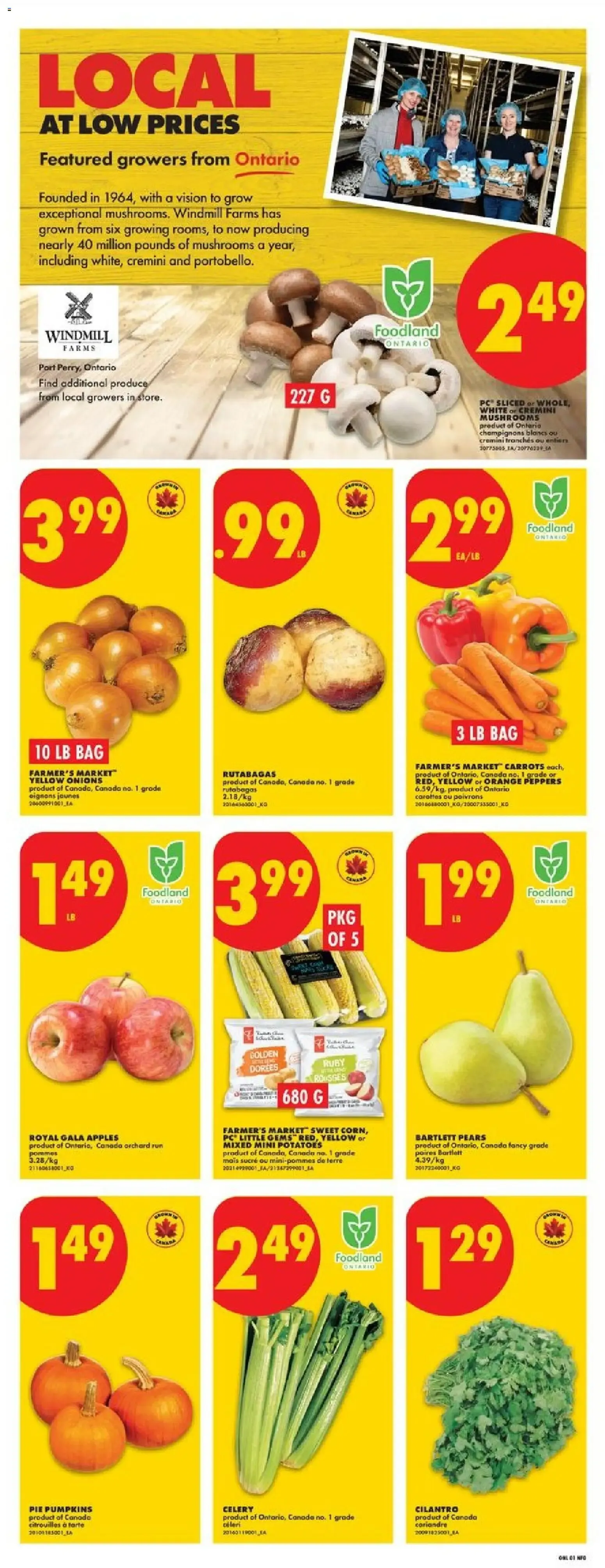 No Frills weekly flyer - ON from Sep 24, 2026 > weekly specials & deals from September 24 to September 30 2026 - flyer page 3