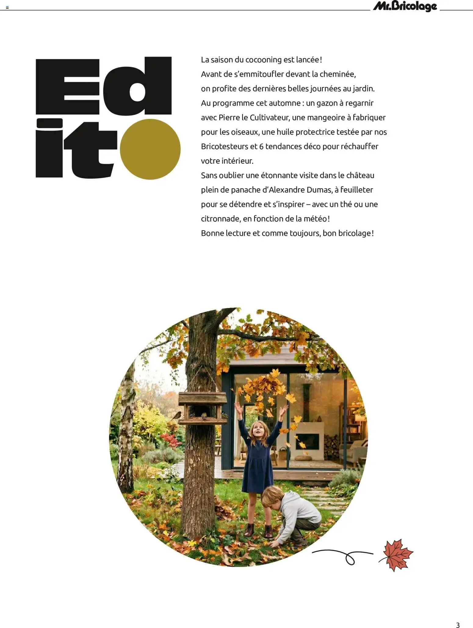 Entre Voisins... Magazine Mr. Bricolage Automne 2026 du 18 septembre au 4 novembre 2026 - Catalogue page 3