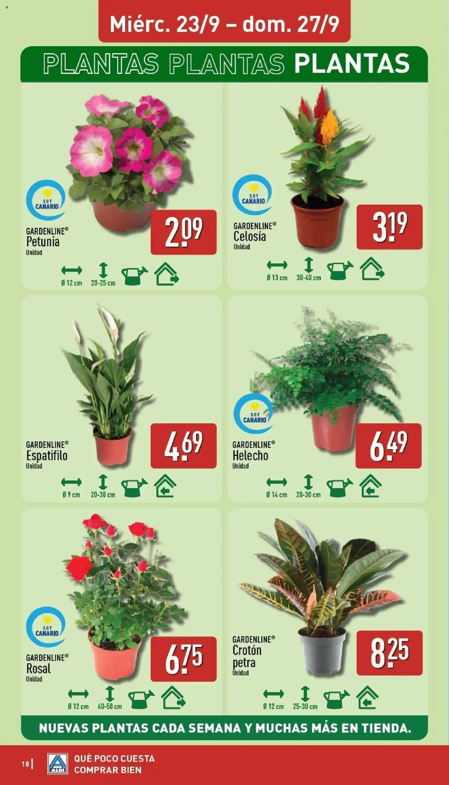 Catálogo de Aldi folleto Canarias del 21/09/2026 | Catálogo 21 de septiembre al 27 de septiembre 2026 - Página 18