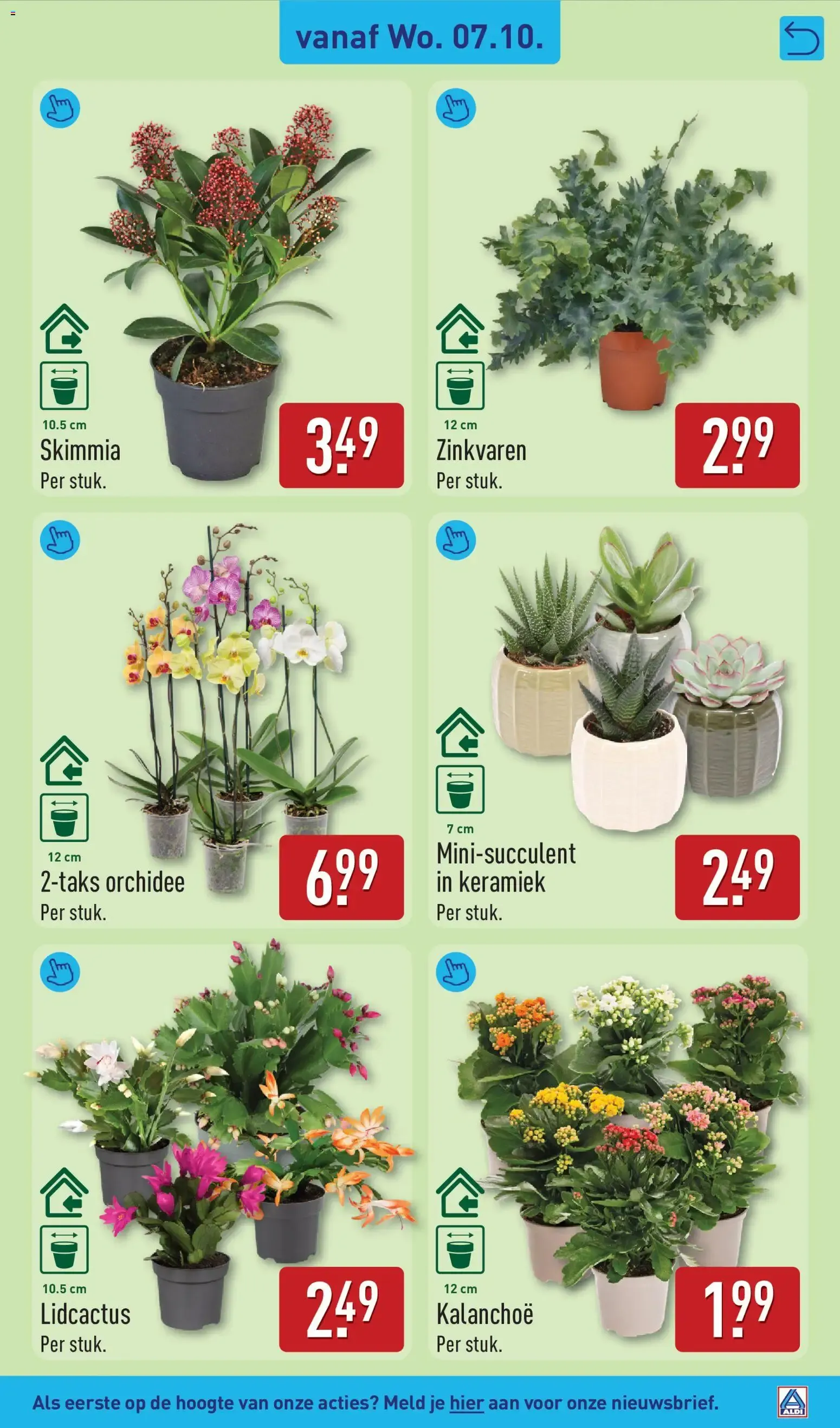 Aldi folder vanaf 05-10-2026 (volgende, deze week) van 5 oktober tot 11 oktober 2026 - Folder pagina 39