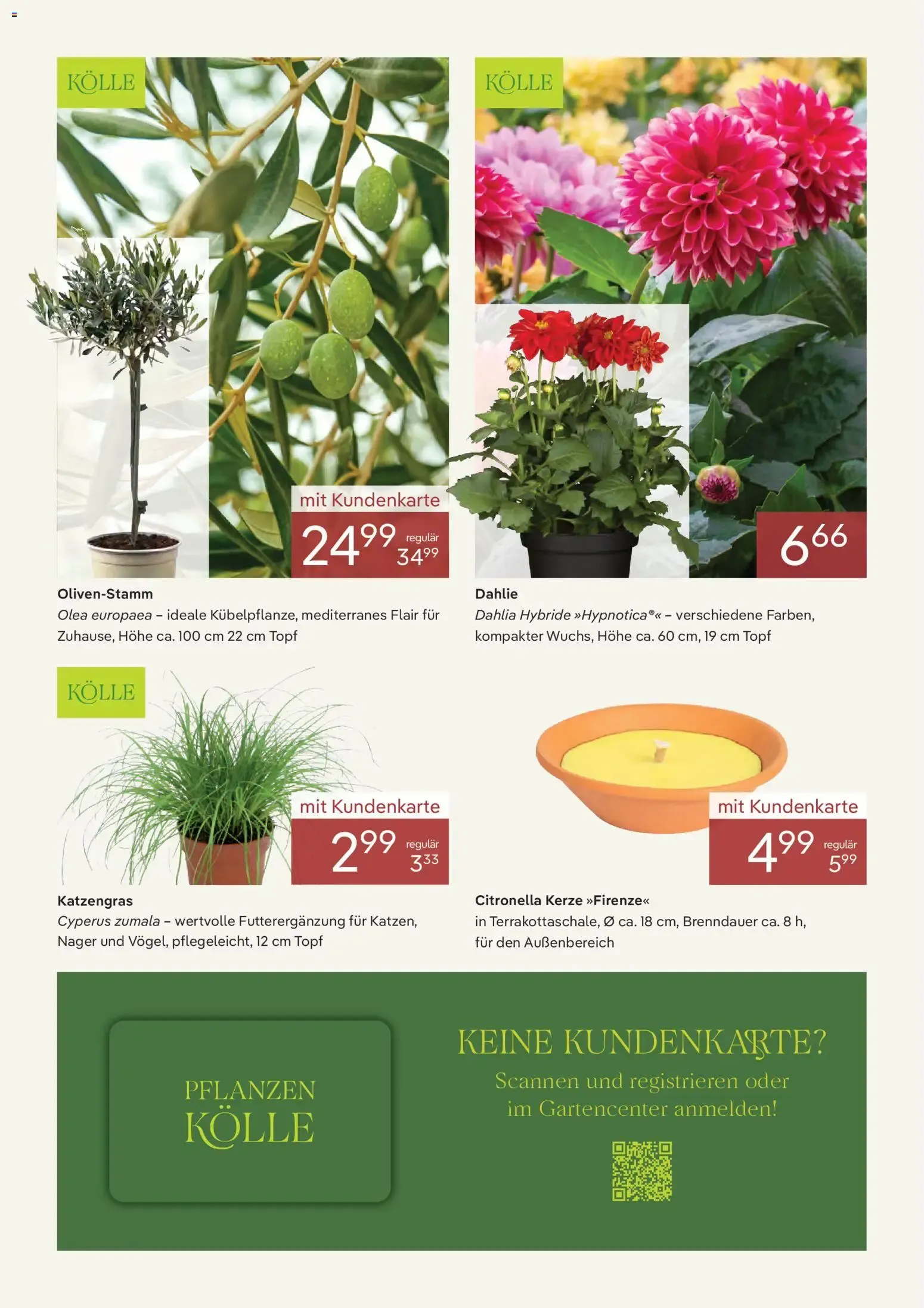 Blühende Vielfalt im Juni von 1. Juni bis 30. Juni 2026 - Prospekt seite 3