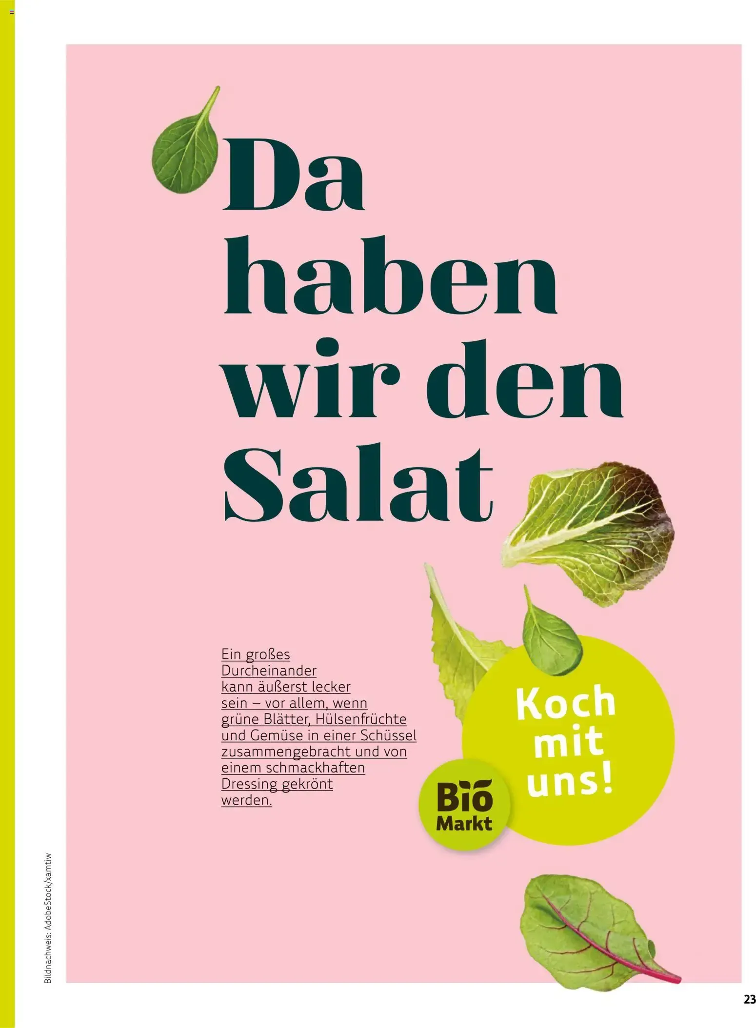 Das BioMarkt Magazin KREO von 17. Juli bis 30. September 2026 - Prospekt seite 22
