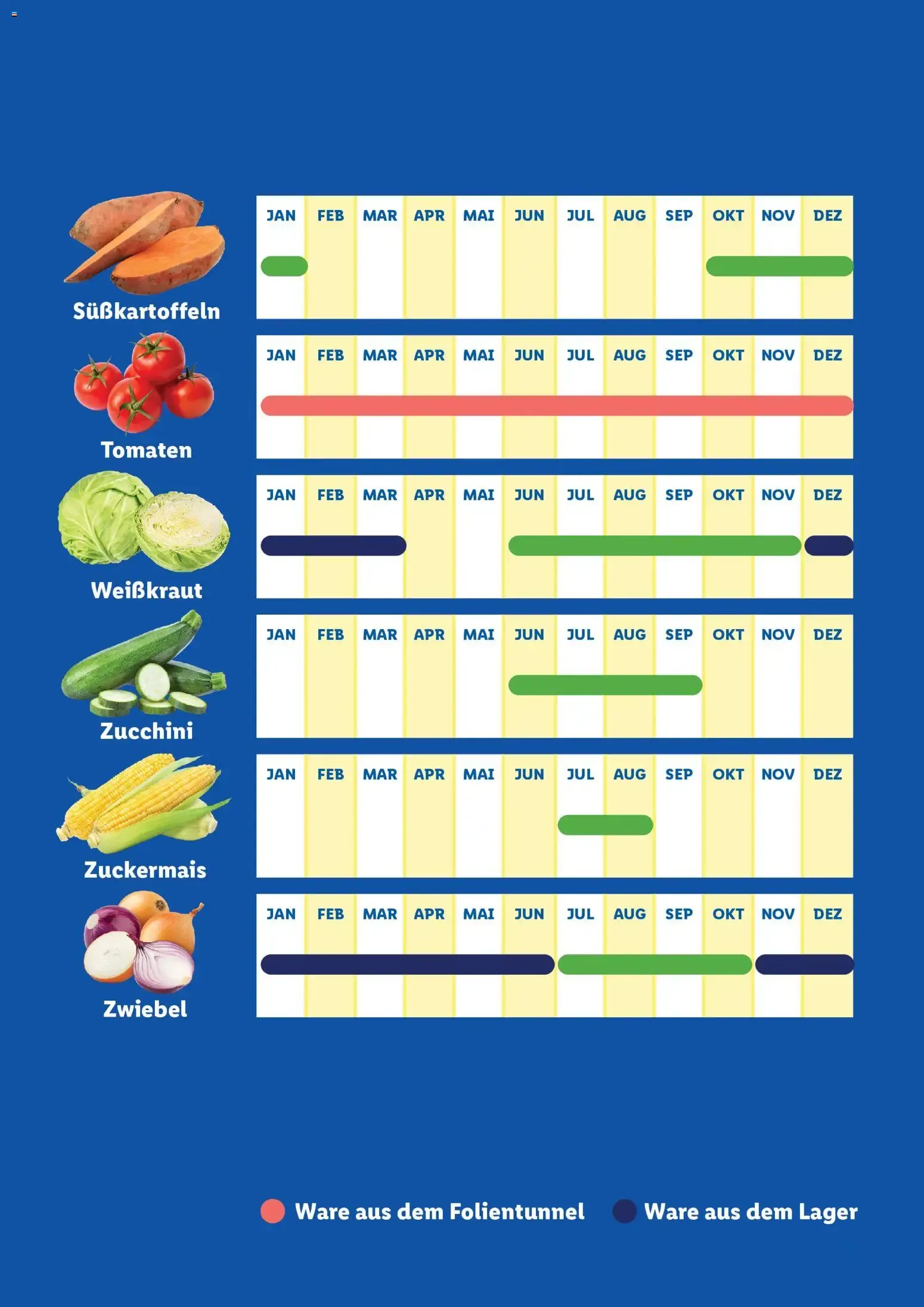 Lidl Saisonkalender - Obst und Gemüse ab 01.01.2026 - Angebote ab donnerstag von 1. Jänner bis 31. Dezember 2026 - Flugblätt seite  7