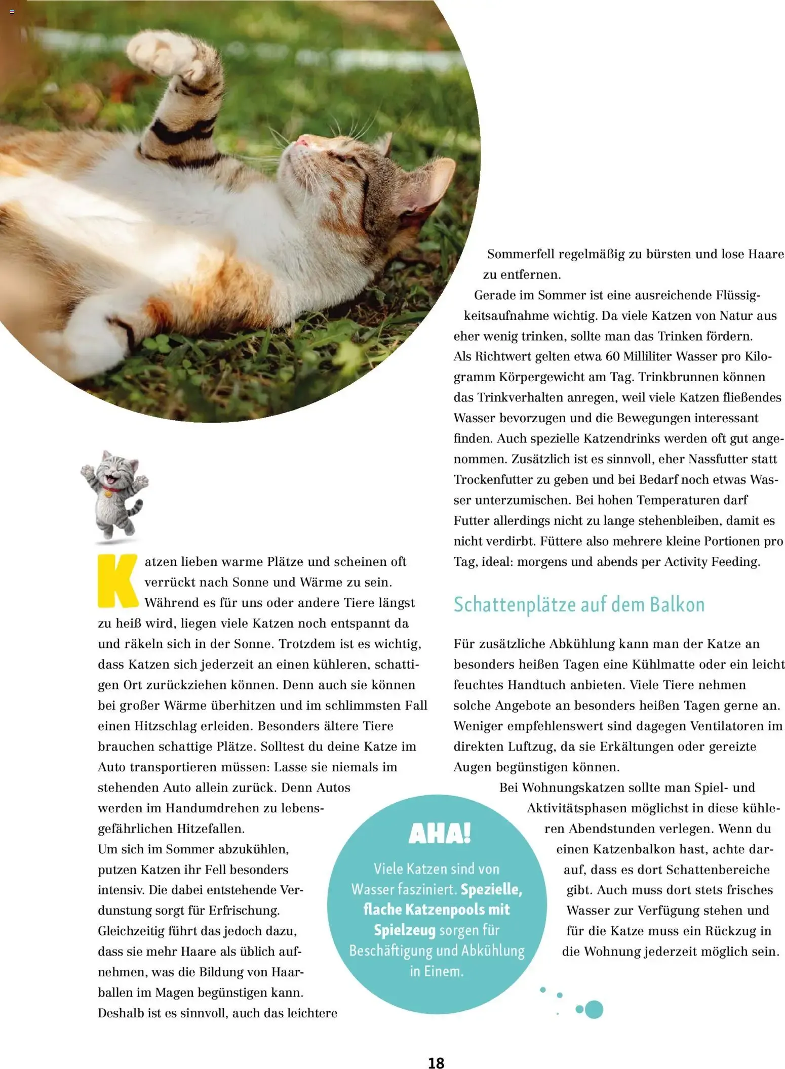 FRESSNAPF Friends - Europas größtes Haustier-Magazin von 1. Juli bis 31. August 2026 - Prospekt seite 18
