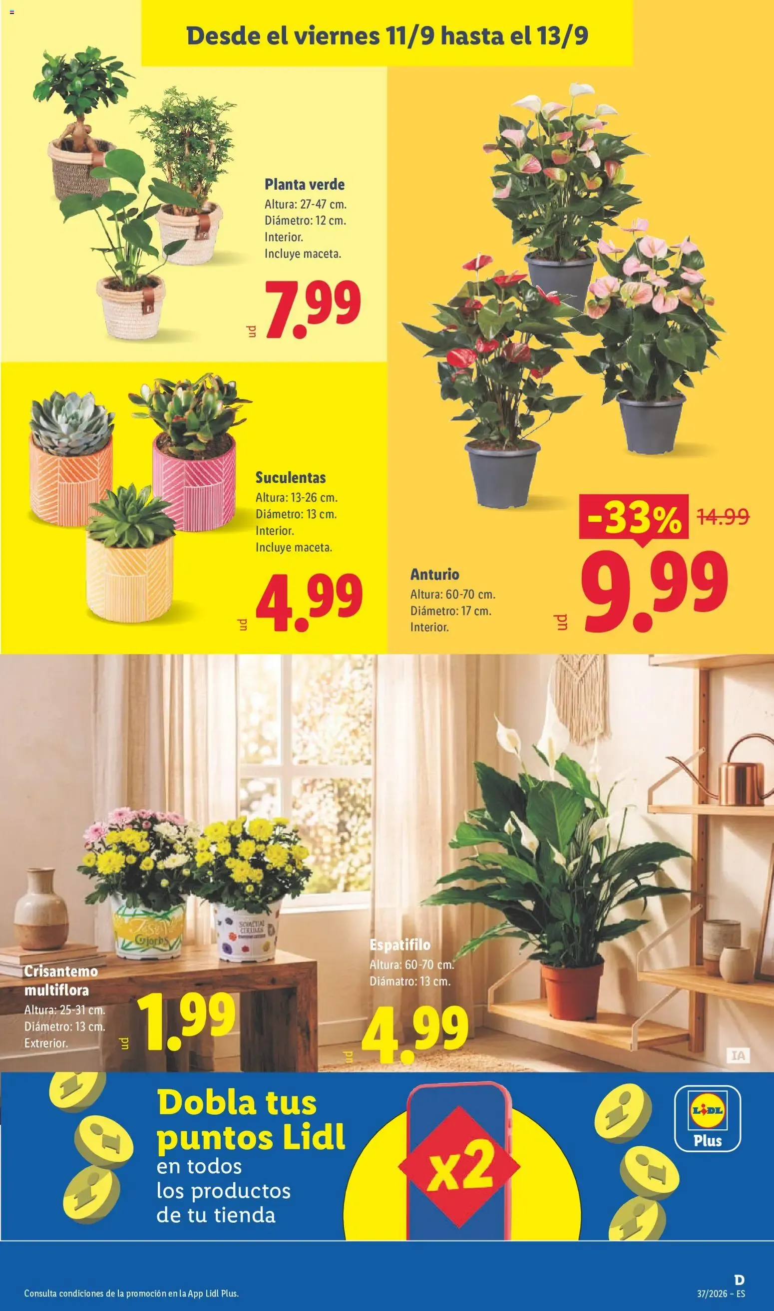 Catálogo de Lidl: Batimos el récord del ahorro 7 de septiembre al 13 de septiembre 2026 - Página 51