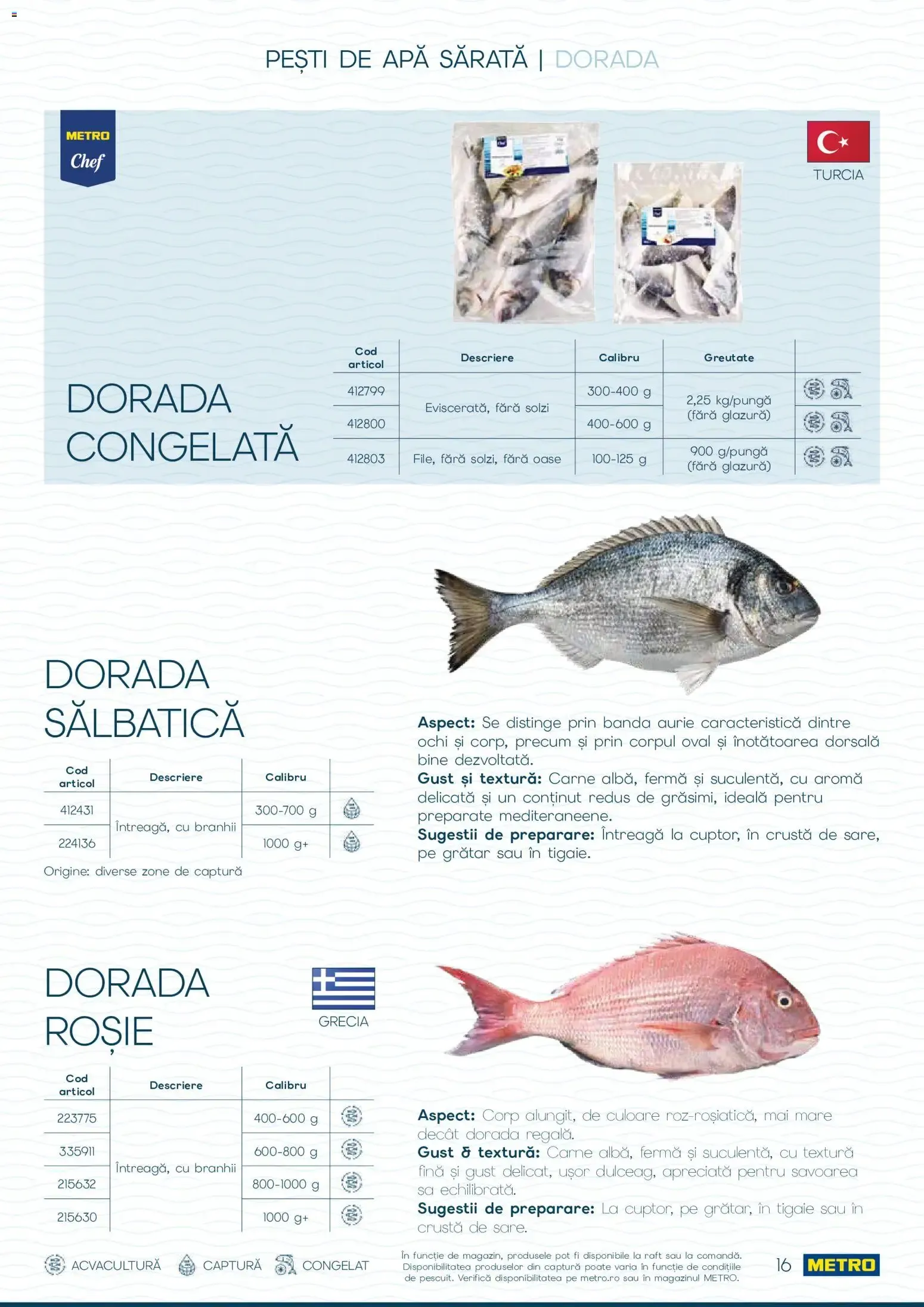 Catalog Metro Catalog Spui pește proaspăt, spui METRO - Oferta 01.10.2026 - 31.12.2026 de la 1 octombrie până la 31 decembrie 2026 - Revista Pagina 15