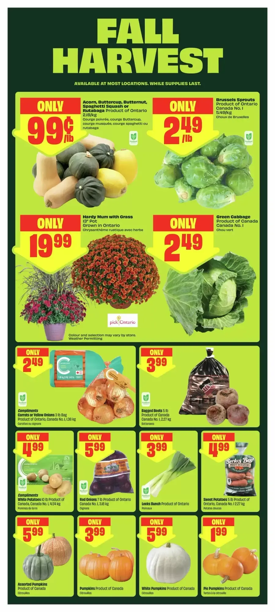 FreshCo The Big % Off Event Flyer from September 17 to September 23 2026 - flyer page 5