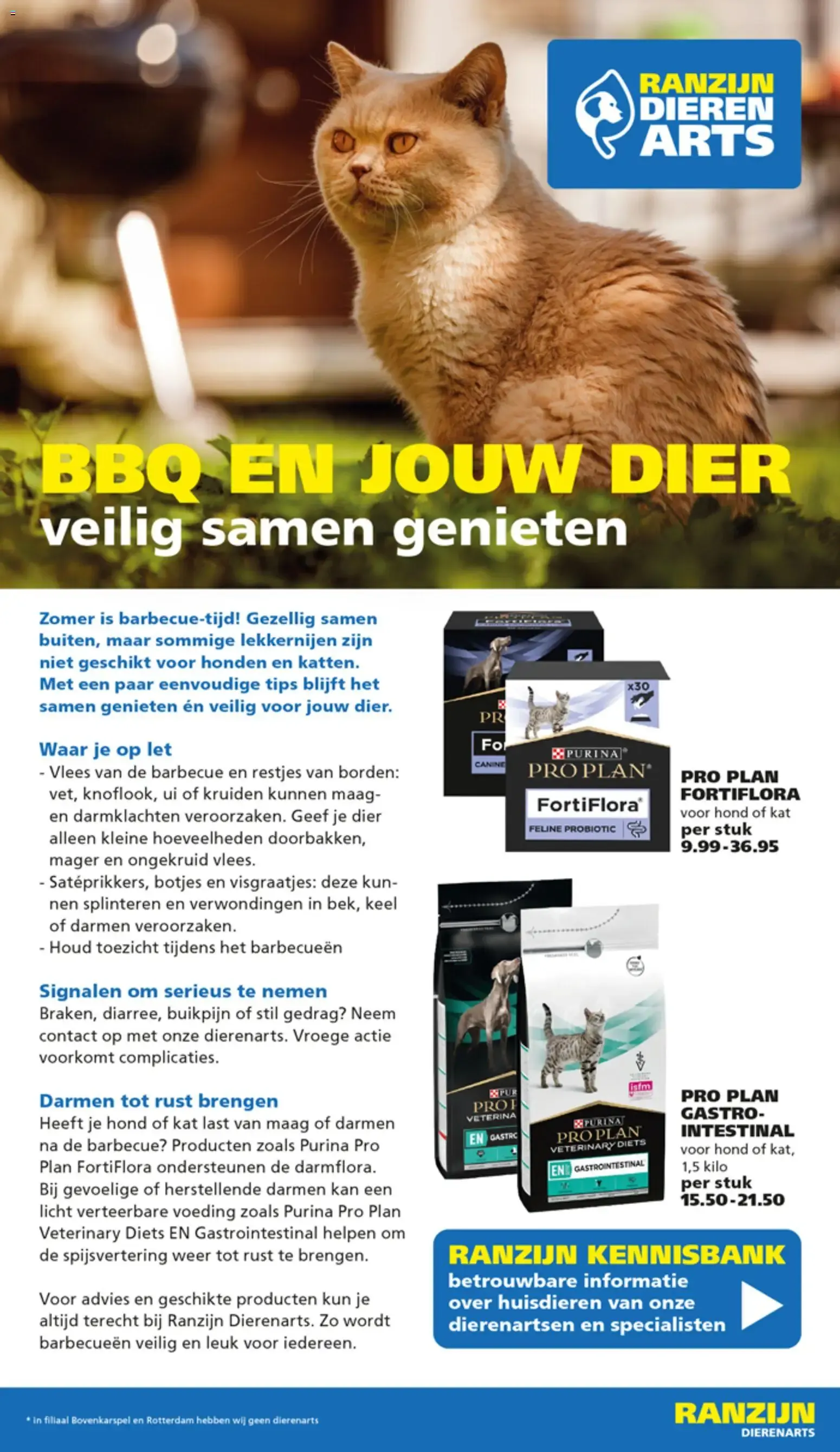 VADERDAG TOPPER! van 14 juni tot 27 juni 2026 - Folder pagina 13