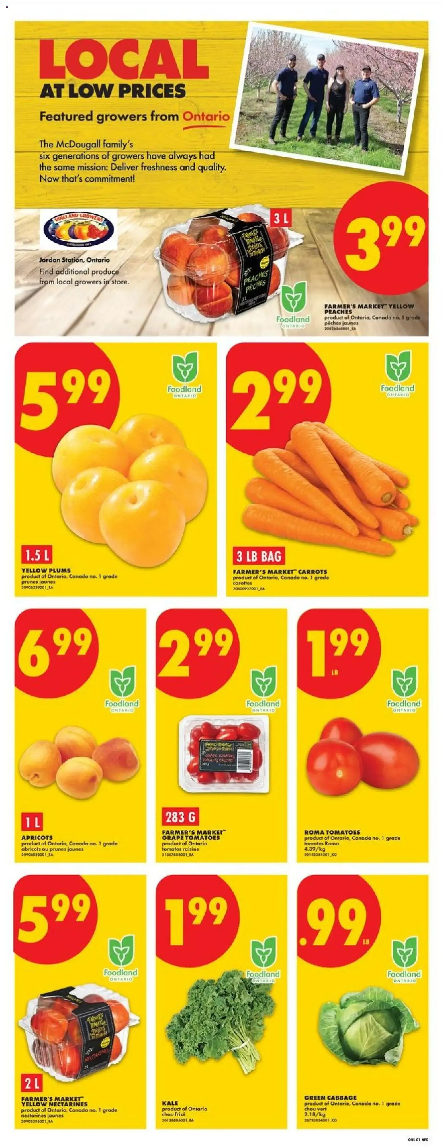 No Frills weekly flyer - ON from Jul 30, 2026 > weekly specials & deals from July 30 to August 5 2026 - flyer page 3