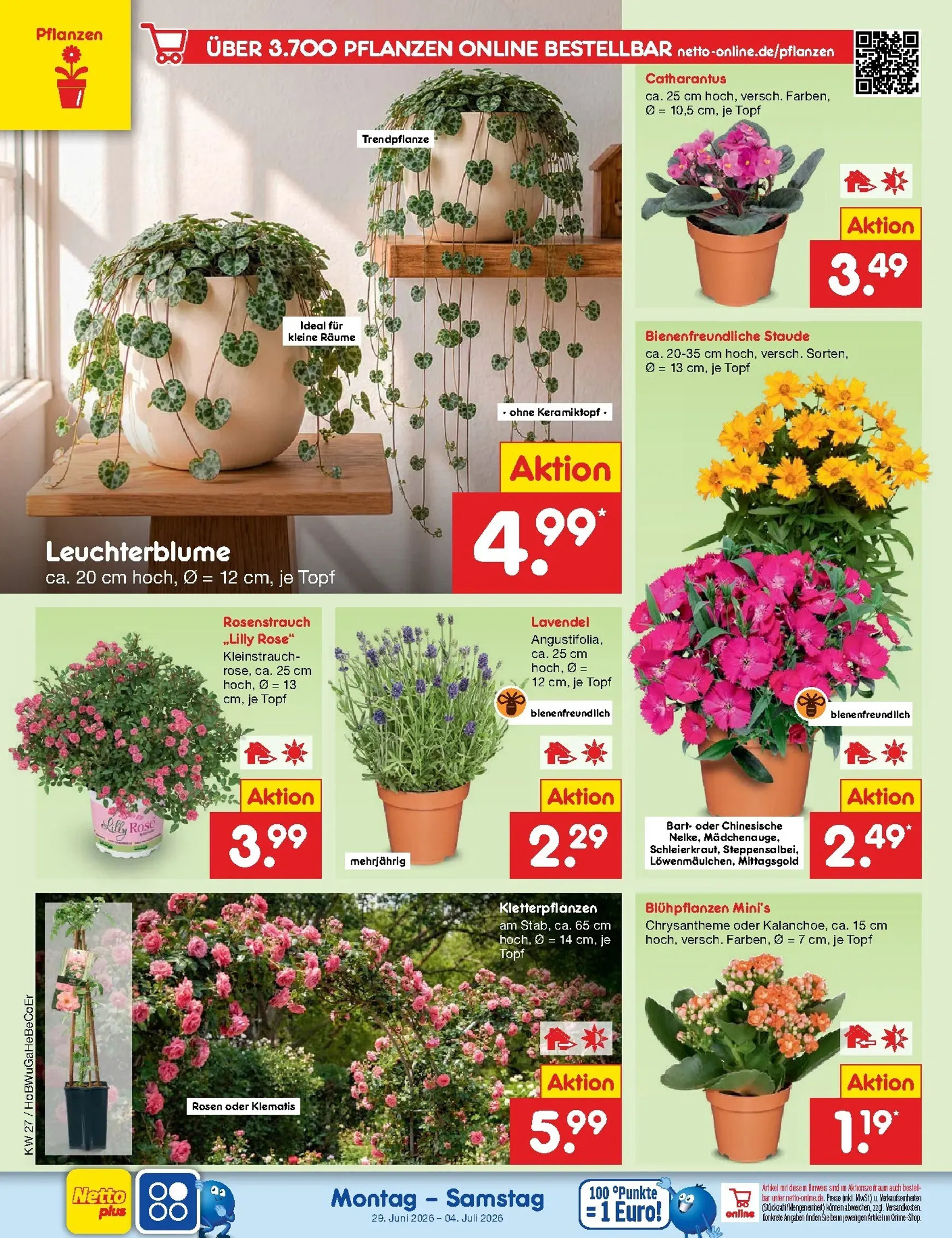 Netto Marken Discount - Wochenangebote Prospekt – von Montag 29.06.2026 bis Samstag 04.07.2026 von 29. Juni bis 4. Juli 2026 - Prospekt seite 21