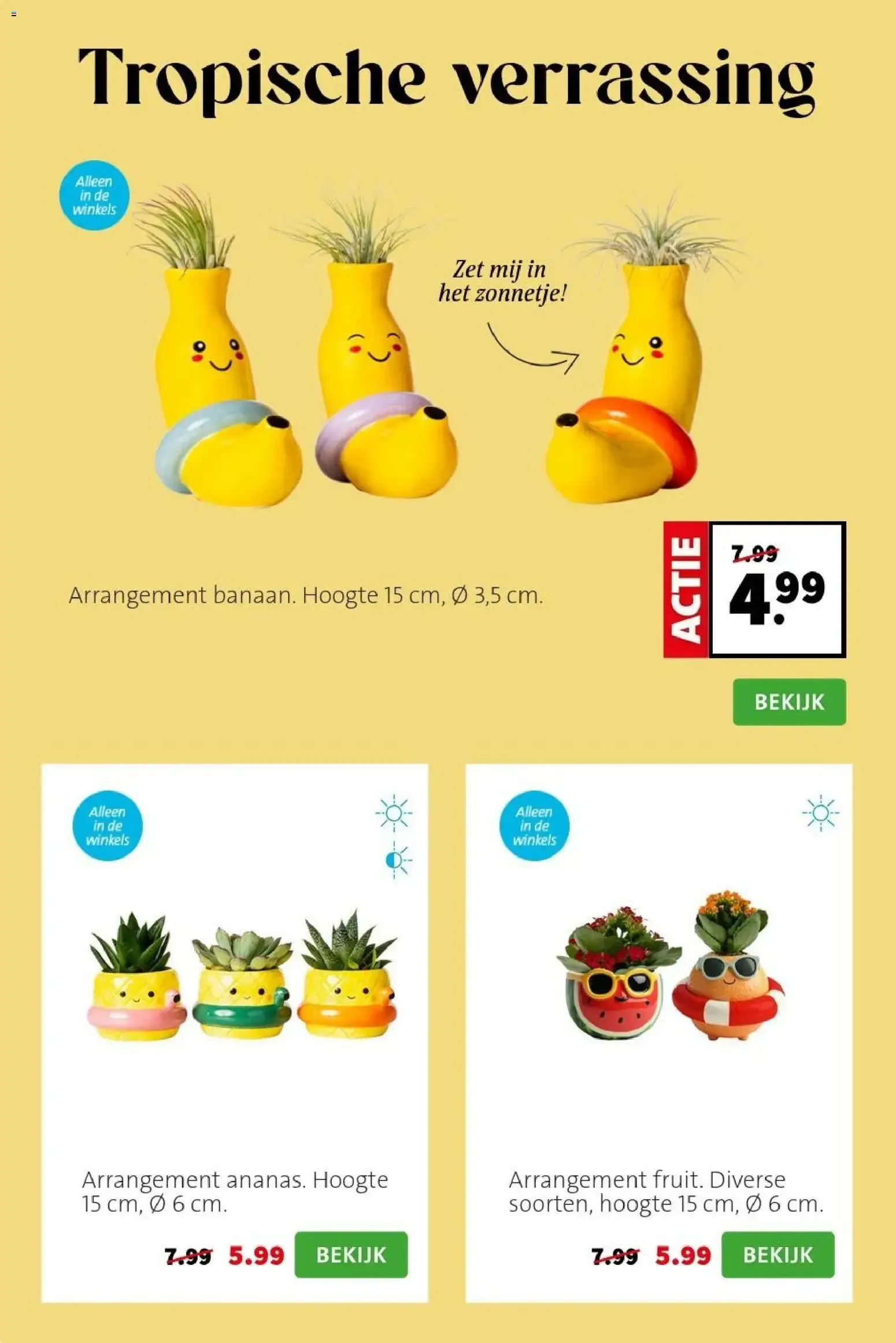 Intratuin: Een groene glimlach cadeau van 29 juni tot 5 juli 2026 - Folder pagina 2