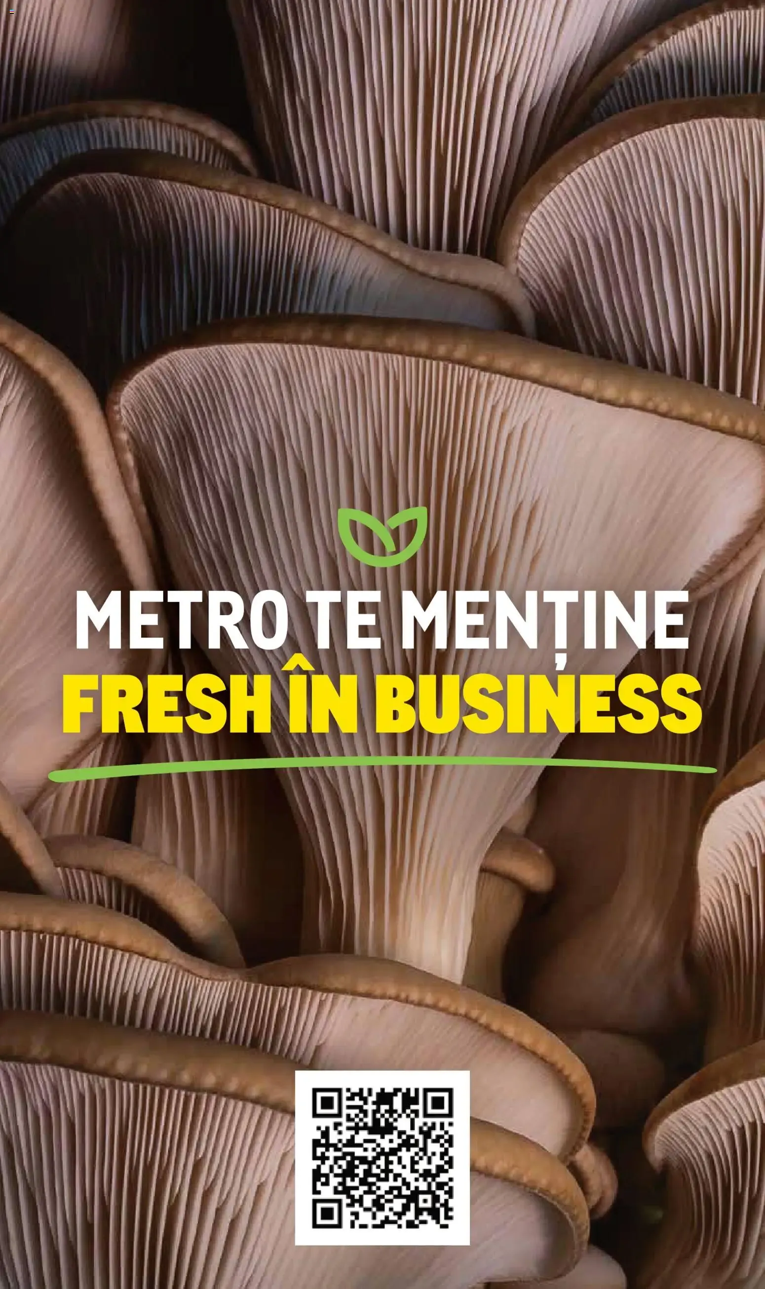 Catalog Metro catalog - Varietăți de Ciuperci - Oferta 10.11.2025 - 31.12.2026 de la 10 noiembrie până la 31 decembrie 2026 - Revista Pagina 16