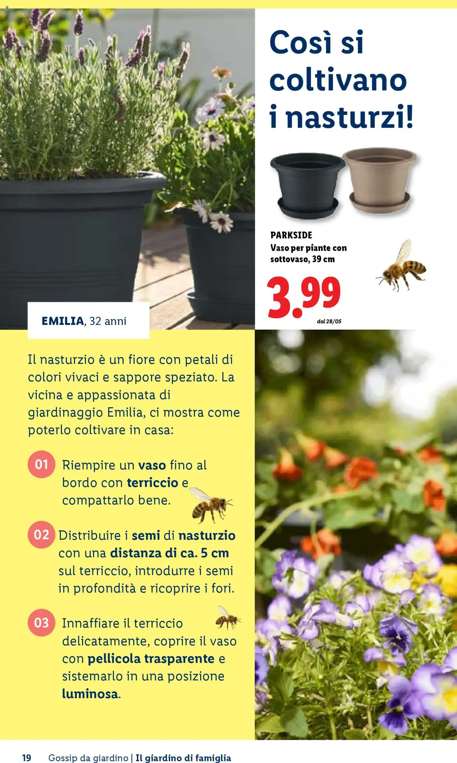 Vivi il tuo giardino - Rivista per il giardinaggio Primavera 2026 da 23 aprile a 1 luglio di 2026 - Pagina del volantino 19