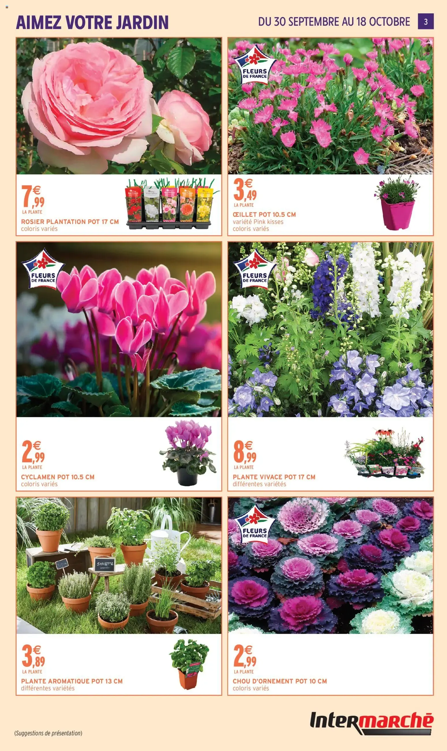 Intermarché - Aimez Votre Jardin du 29 septembre au 18 octobre 2026 - Catalogue page 3