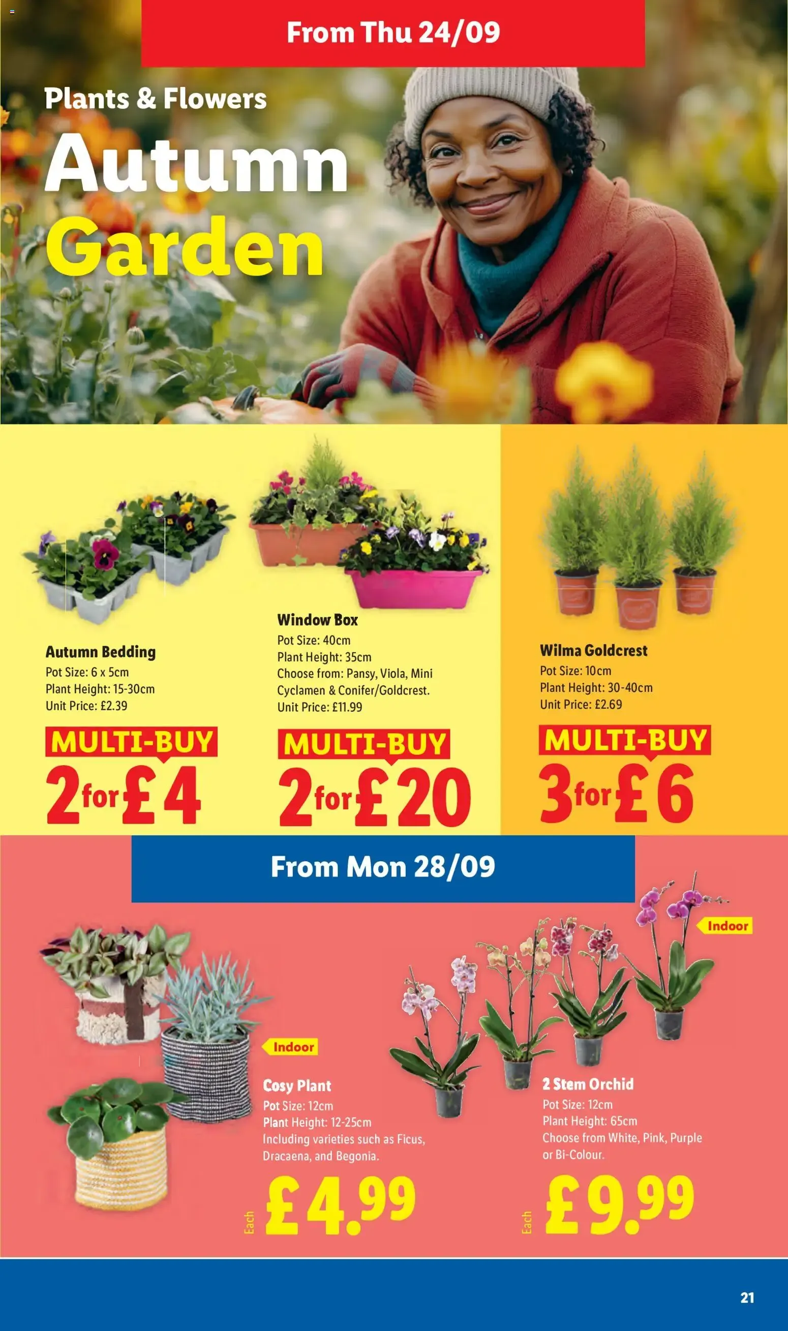 Lidl - Kids' Halloween Costumes from 24 September to 30 September 2026 - Catalogue Page 21