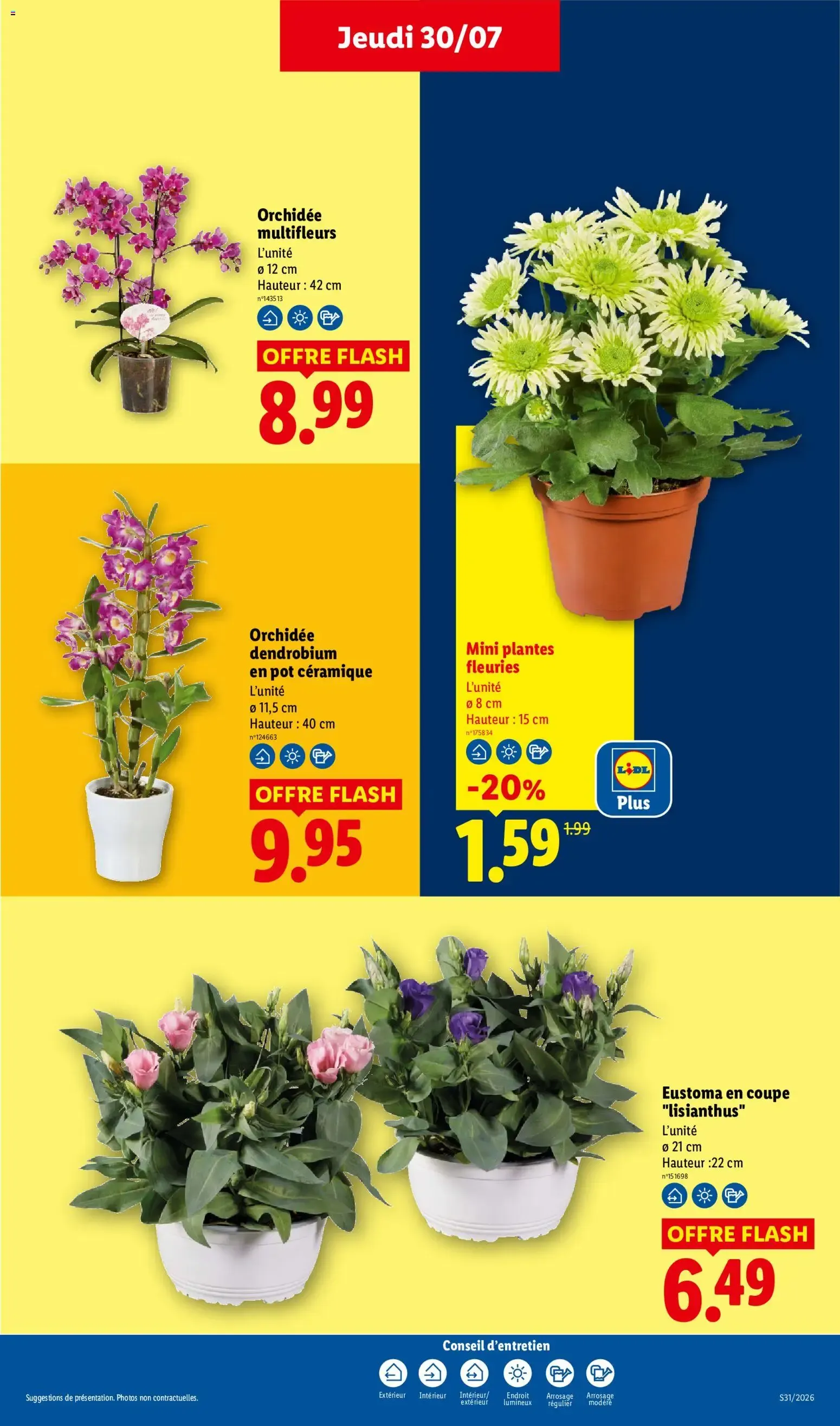 LIDL L'été des Marques du 30 juillet au 5 août 2026 - Catalogue page 29