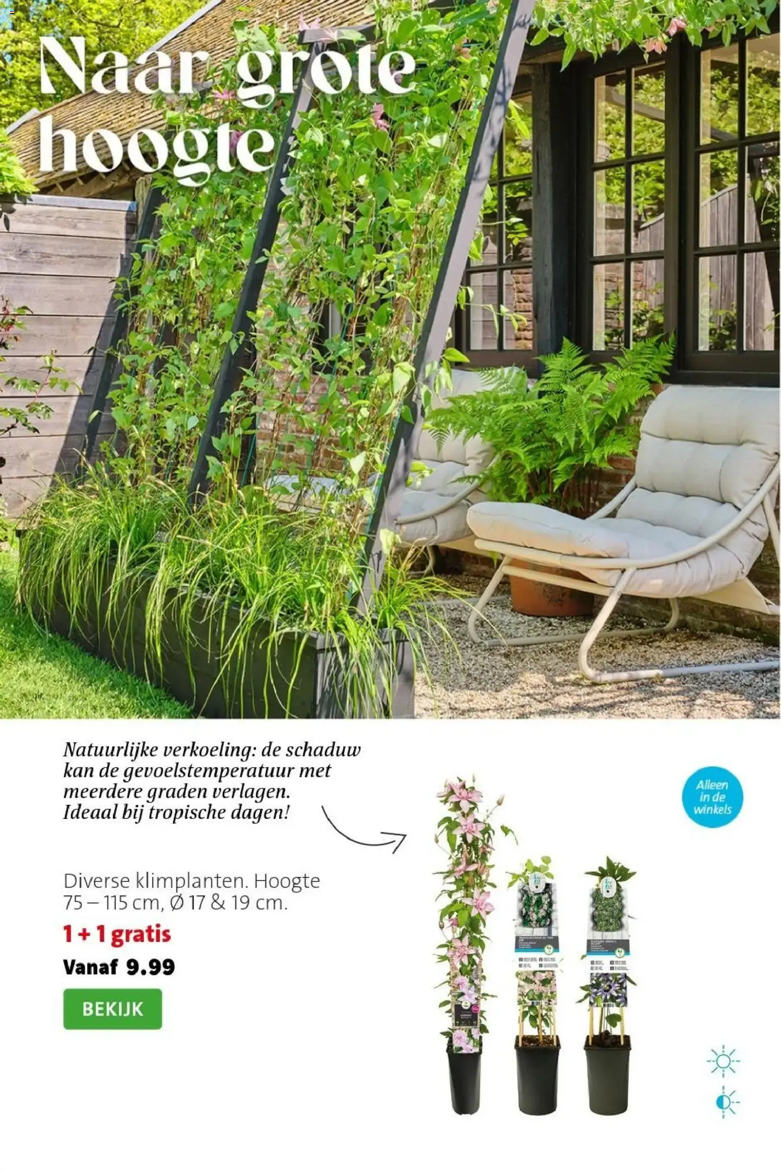 Intratuin: Sale con hasta 50% de descuento van 3 augustus tot 9 augustus 2026 - Folder pagina 4