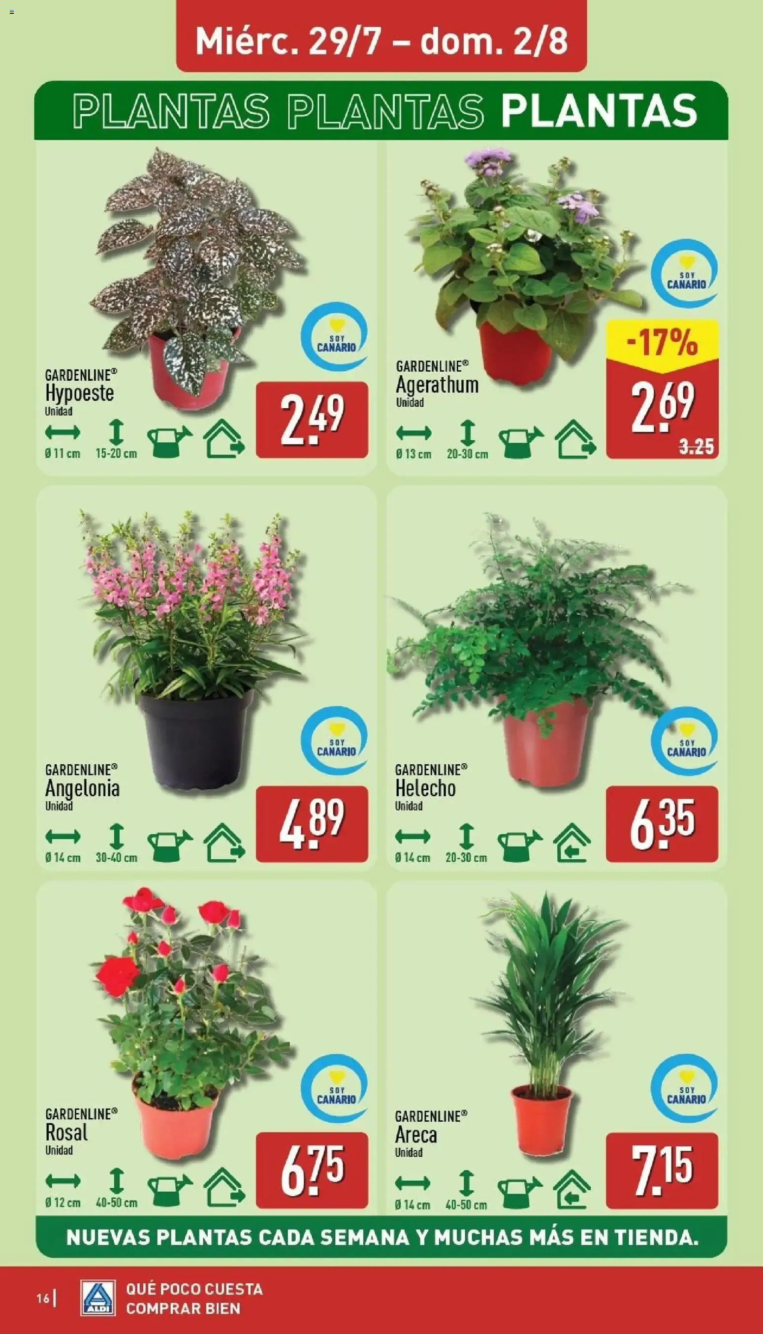 Catálogo de Aldi: Frescura a precios para tirarse a la piscina 27 de julio al 2 de agosto 2026 - Página 16