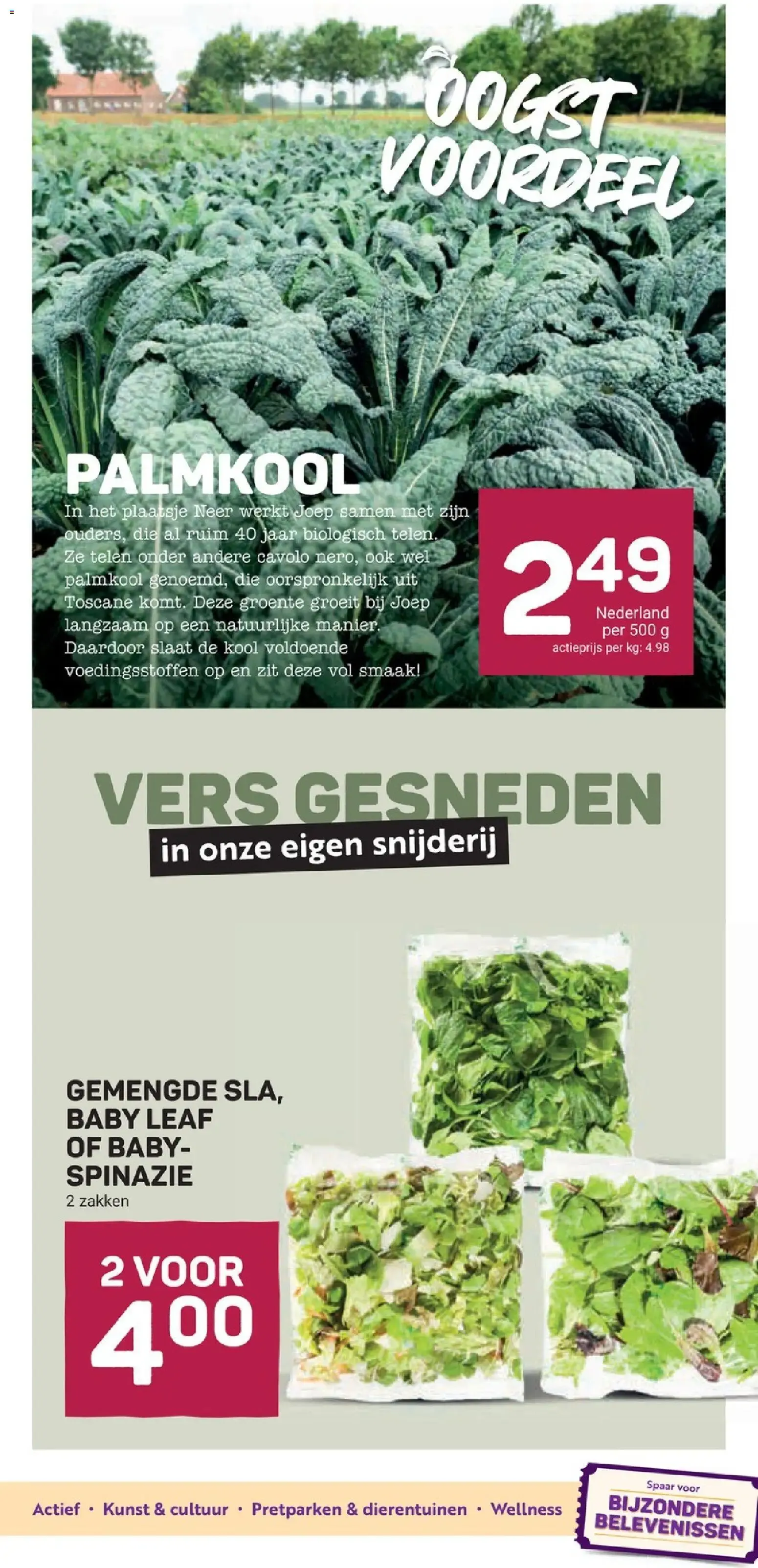 Krokant gebakken BITES van 22 juli tot 28 juli 2026 - Folder pagina 11