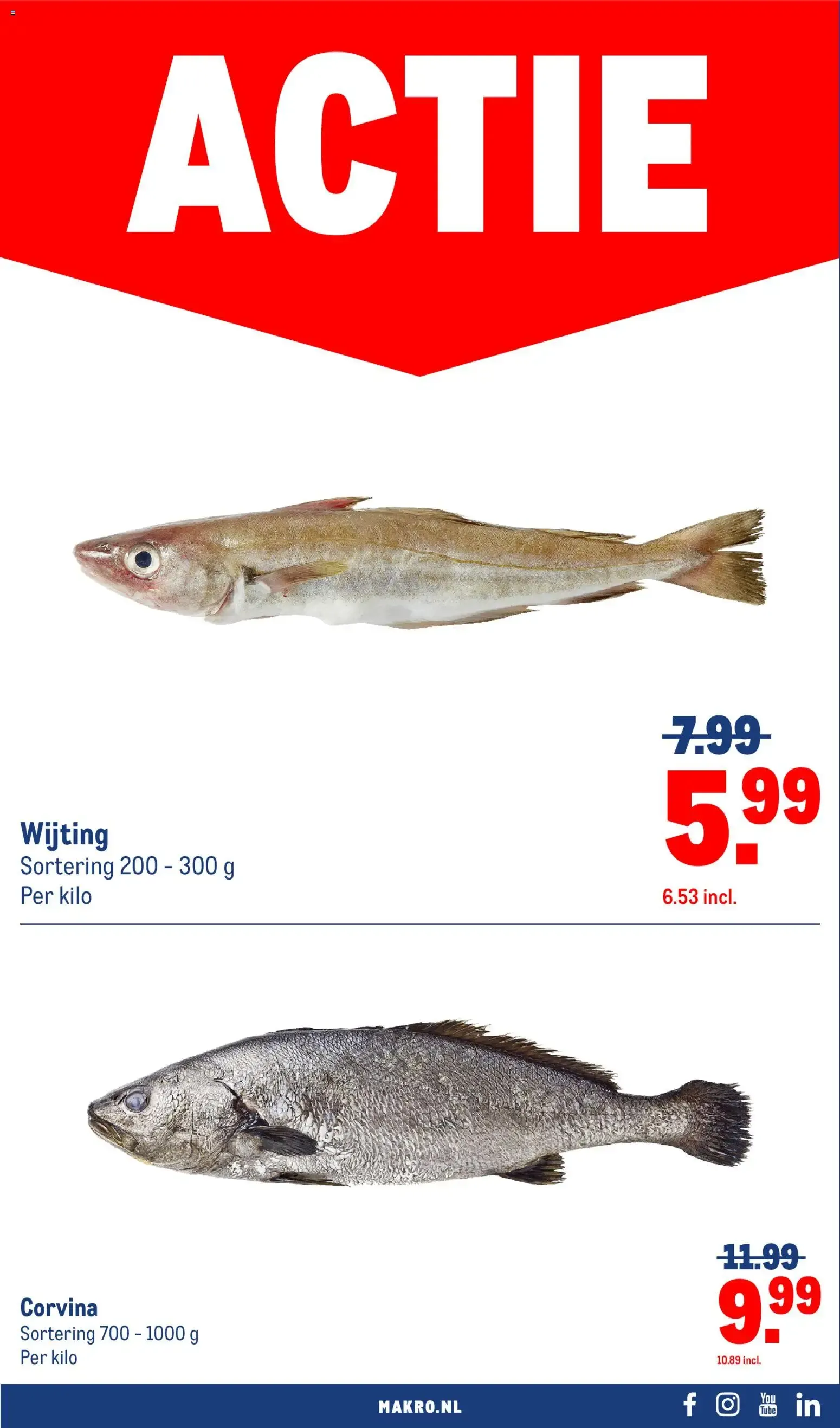 Makro folder vanaf 21-10-2026 || NIEUWE van 21 oktober tot 1 november 2026 - Folder pagina 32