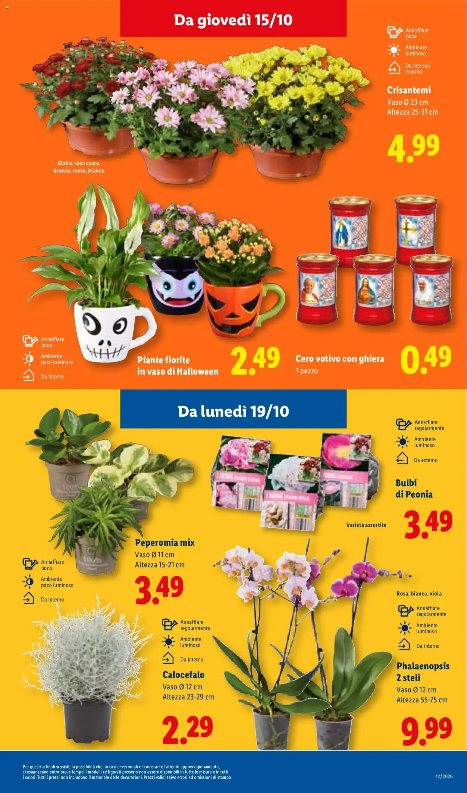 NUOVO LIDL volantino dal 15/10/2026 della prossima settimana da 15 ottobre a 21 ottobre di 2026 - Pagina del volantino 45