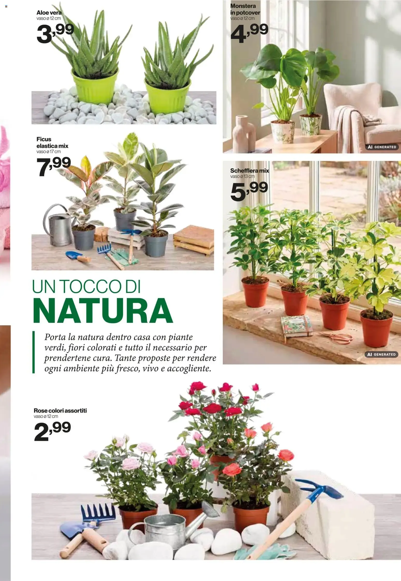 IN's mercato: Sapori & Sorrisi, Convenienza da Gustare da 26 agosto a 6 settembre di 2026 - Pagina del volantino 15