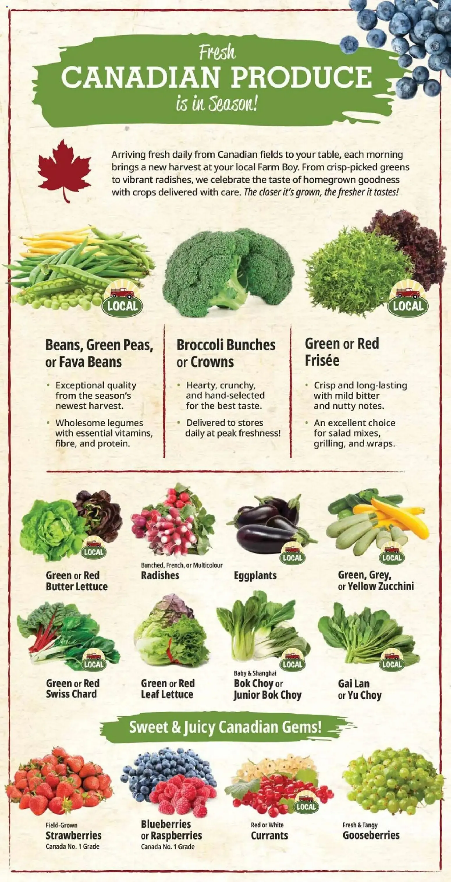 Farm Boy Weekly Flyer from July 16 to July 22 2026 - flyer page 6